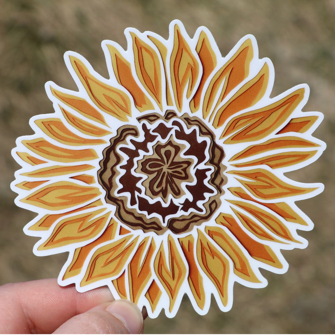Sunflower
