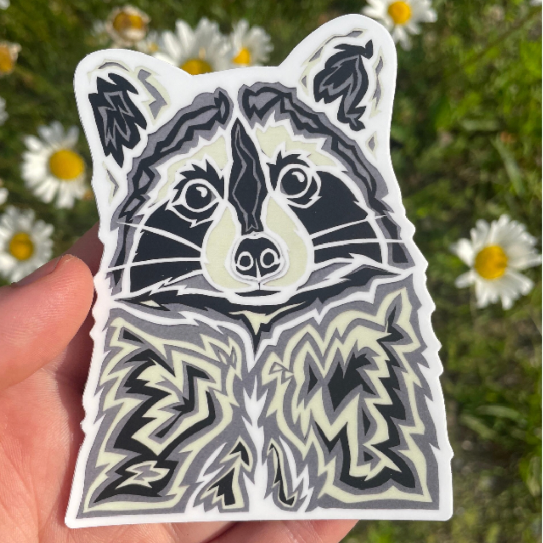 Raccoon