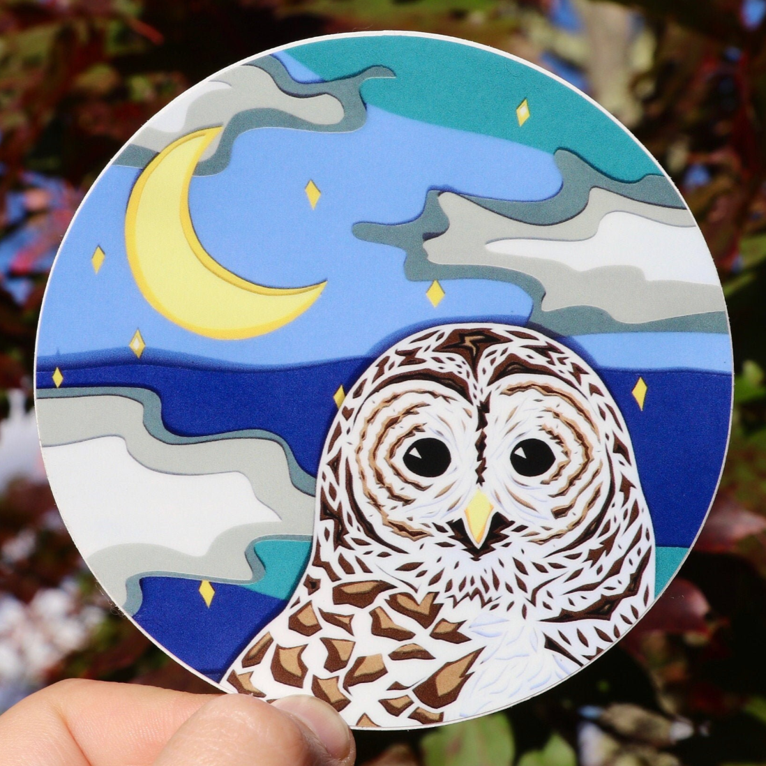 Barred Owl