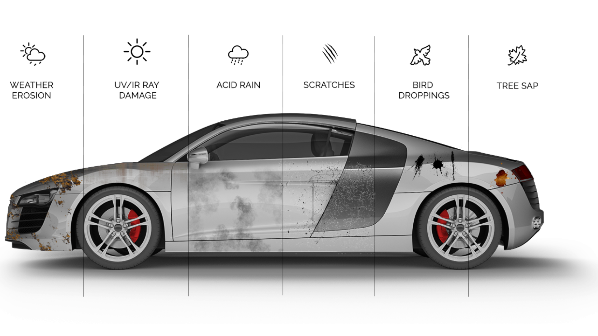 K&M Coatings Covering All Your Detail Needs