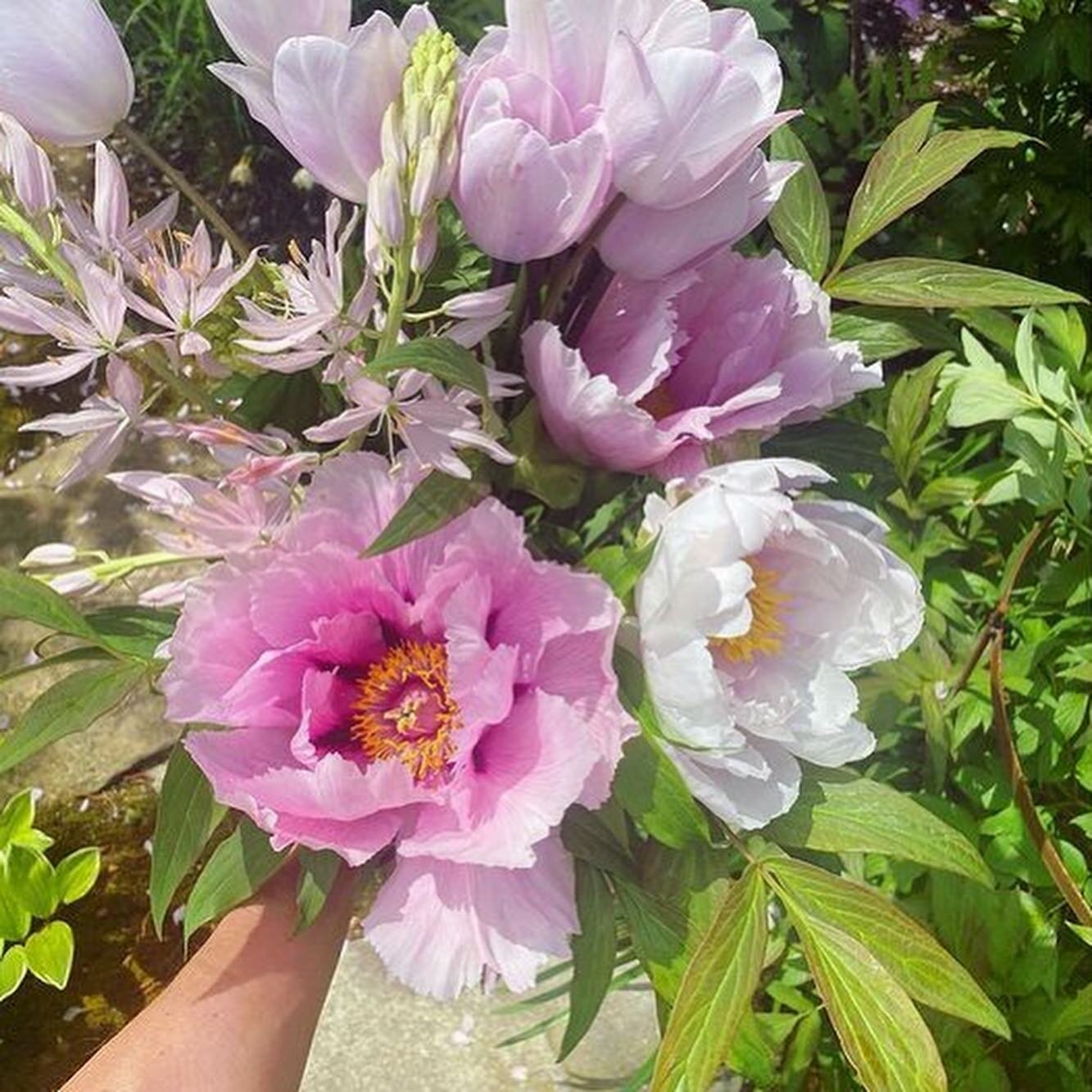 Preparing for many flower candles. #inspiration #candlemaking #springfeeling