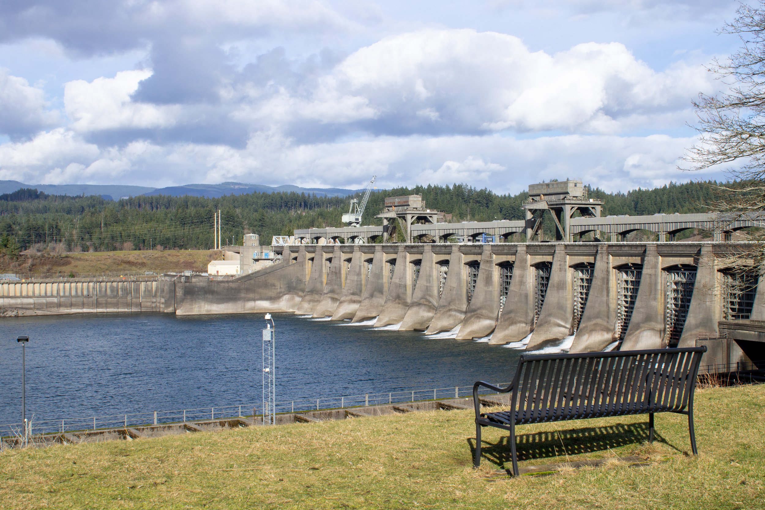 Bench overlooking Bonneville Dam