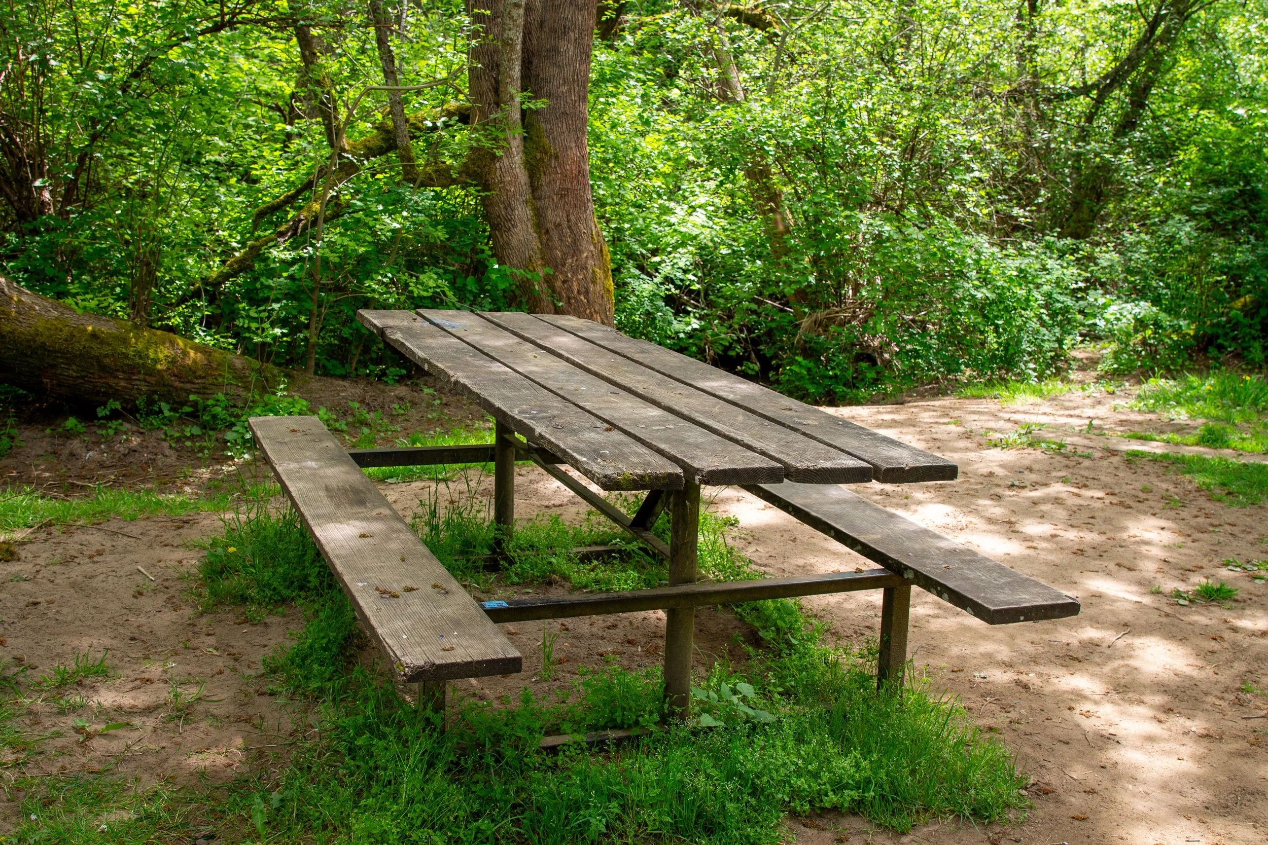 Shaded picnic table