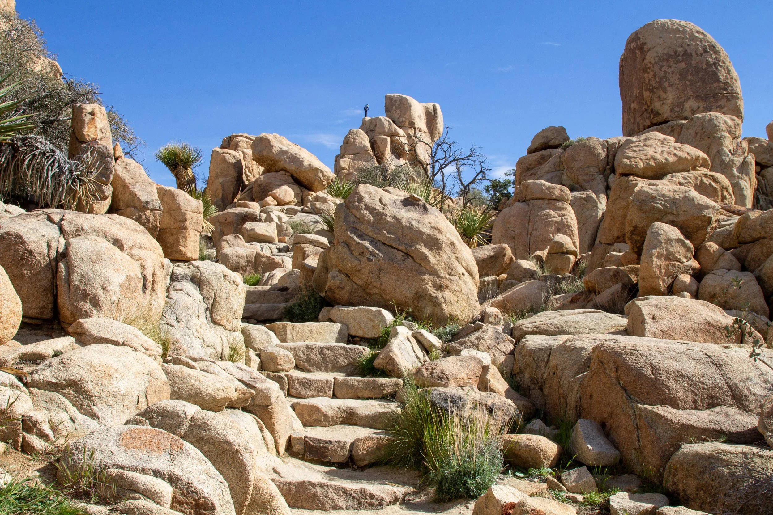 Rock stairs on Hidden Valley Trail