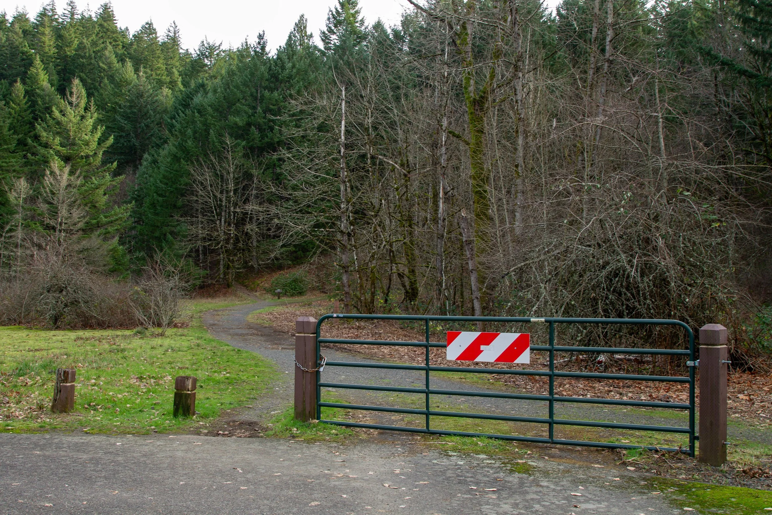 Gate with gravel road at beginning of Gillette Lake hike