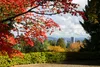 15 Best Fall Activities in Portland [Local’s Guide] — Pines and Vines