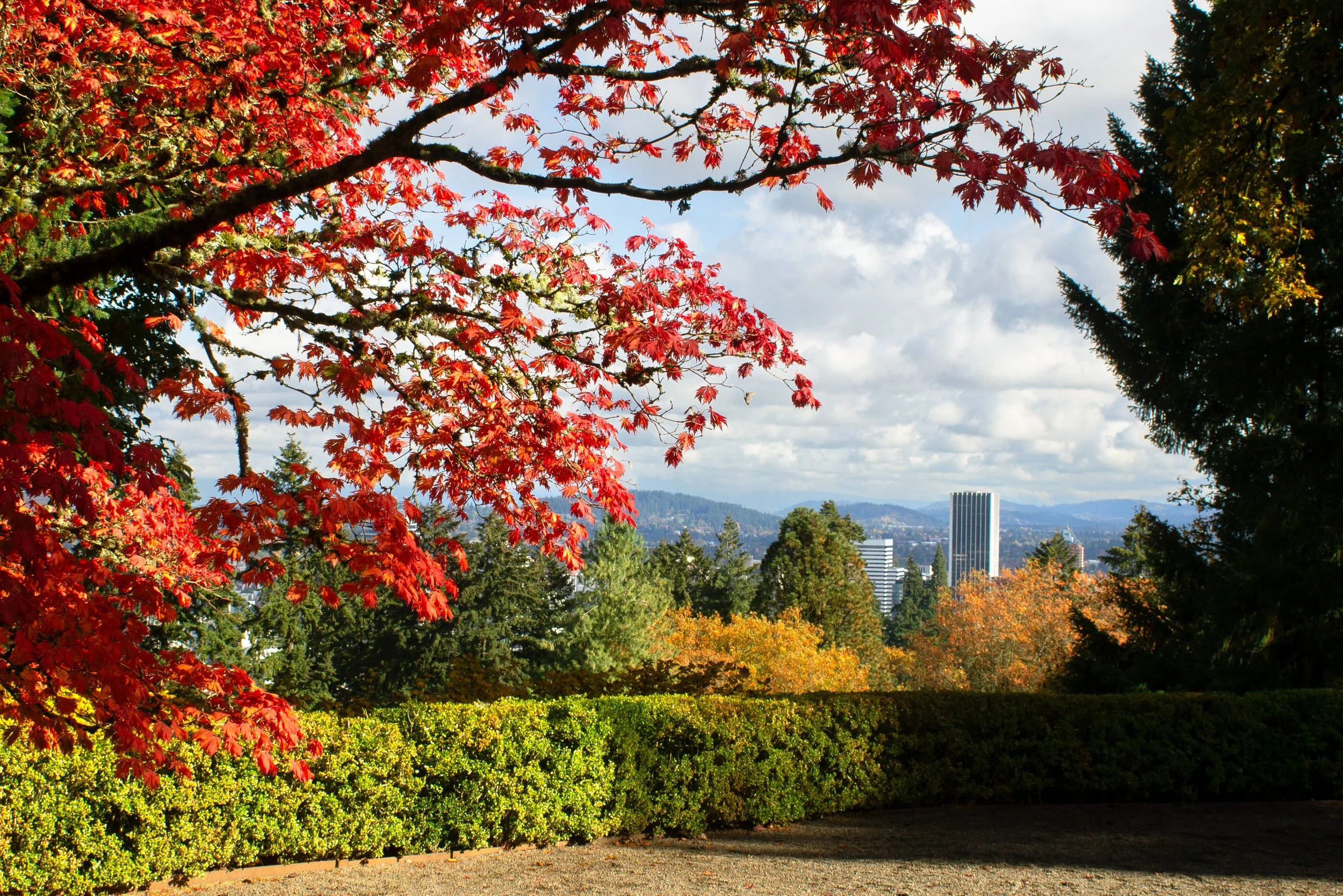 15 Best Fall Activities in Portland [Local’s Guide] — Pines and Vines