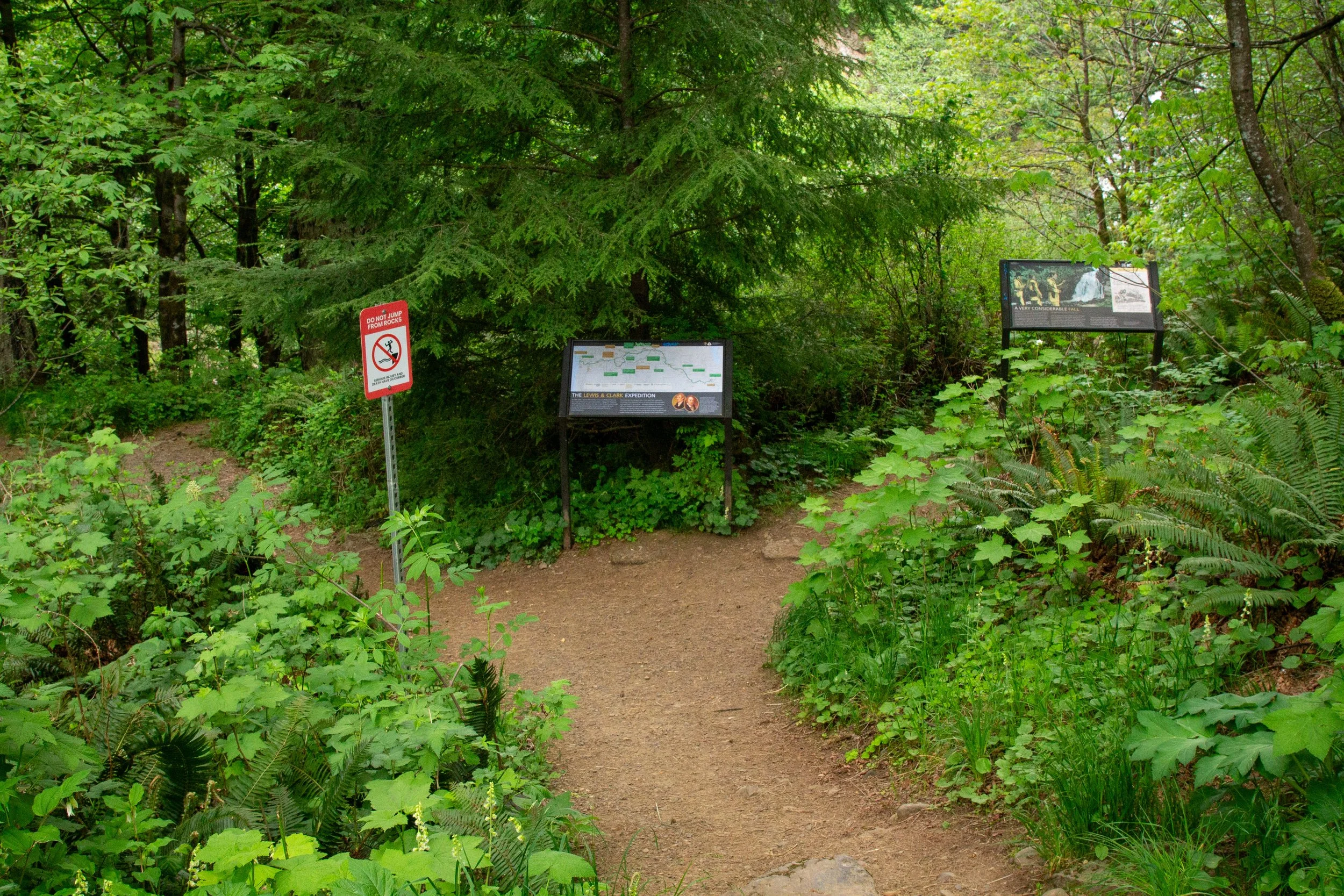 Dirt trail through the woods with interpretive signs