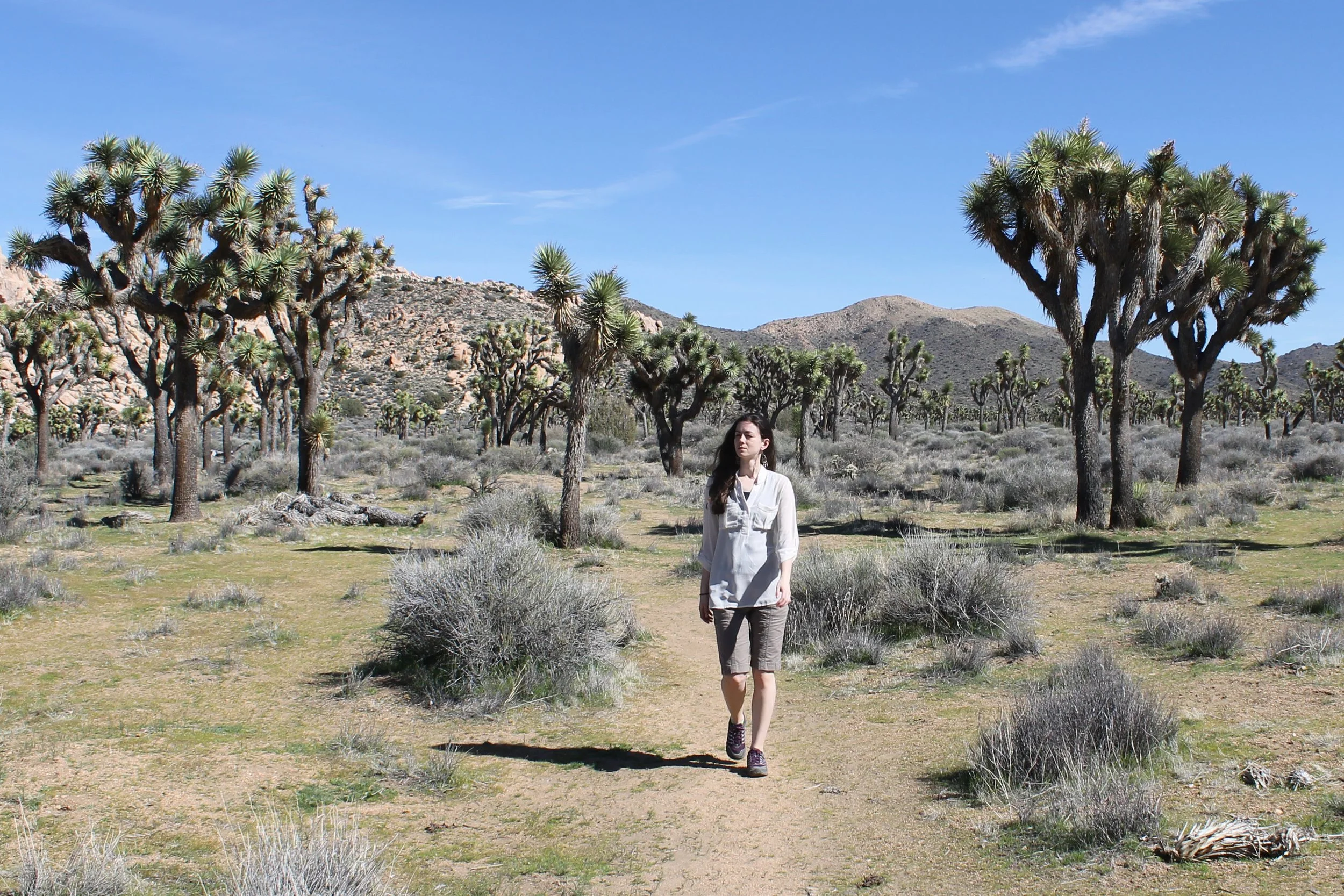 Woman walks along trail through Joshua trees