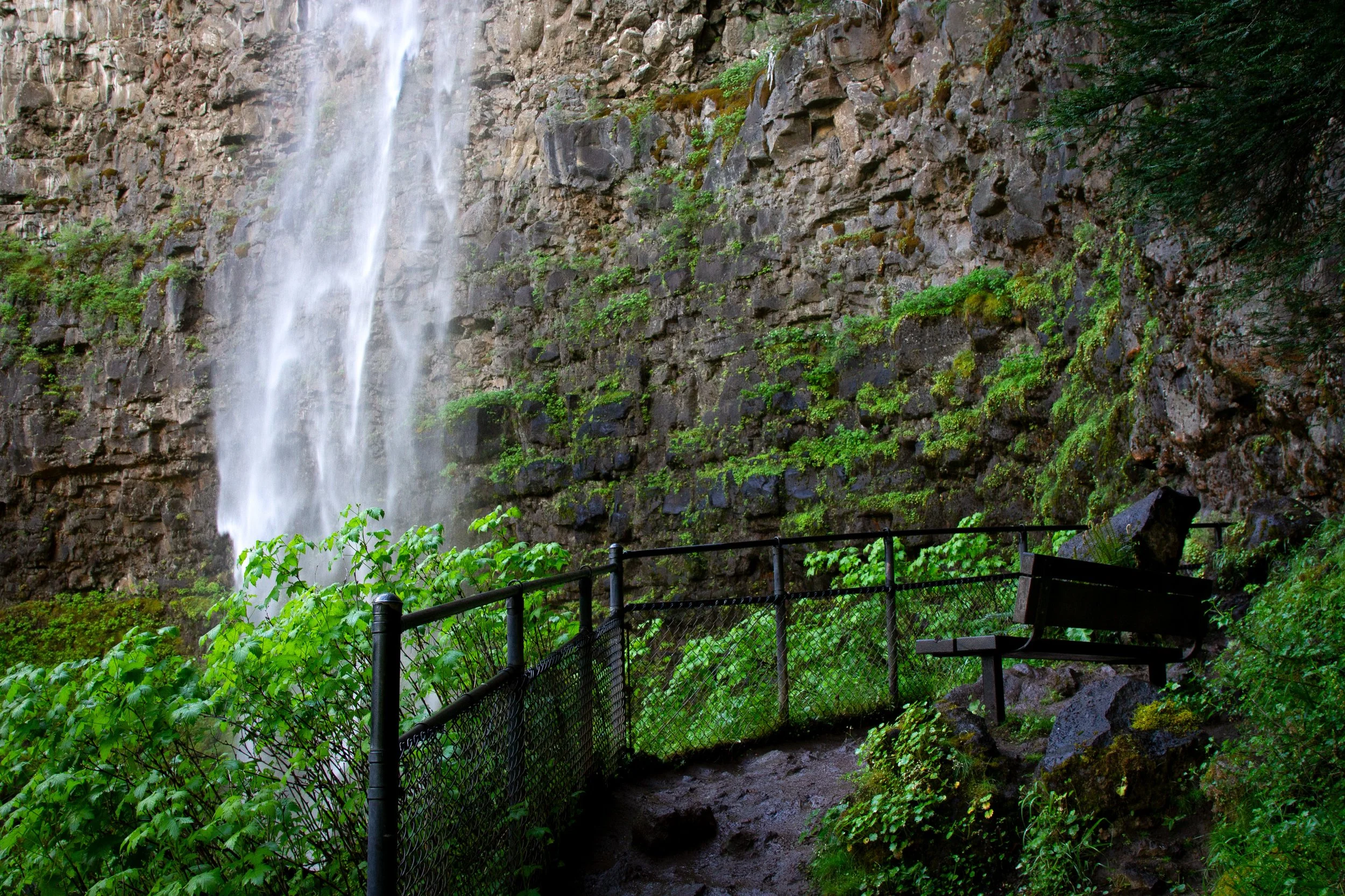Bench overlooking Watson Falls at fenced viewpoint