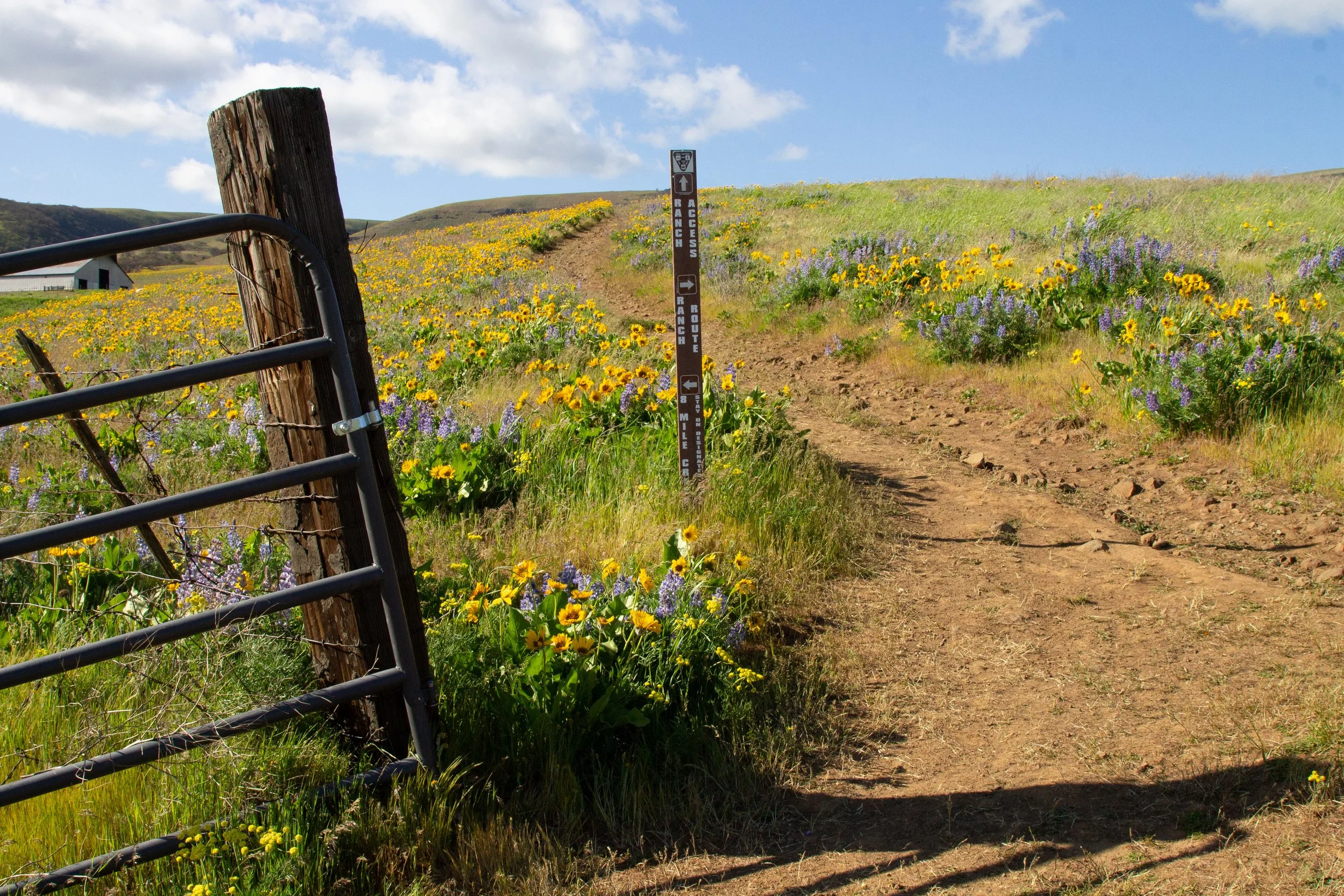Trail junction past farm gate