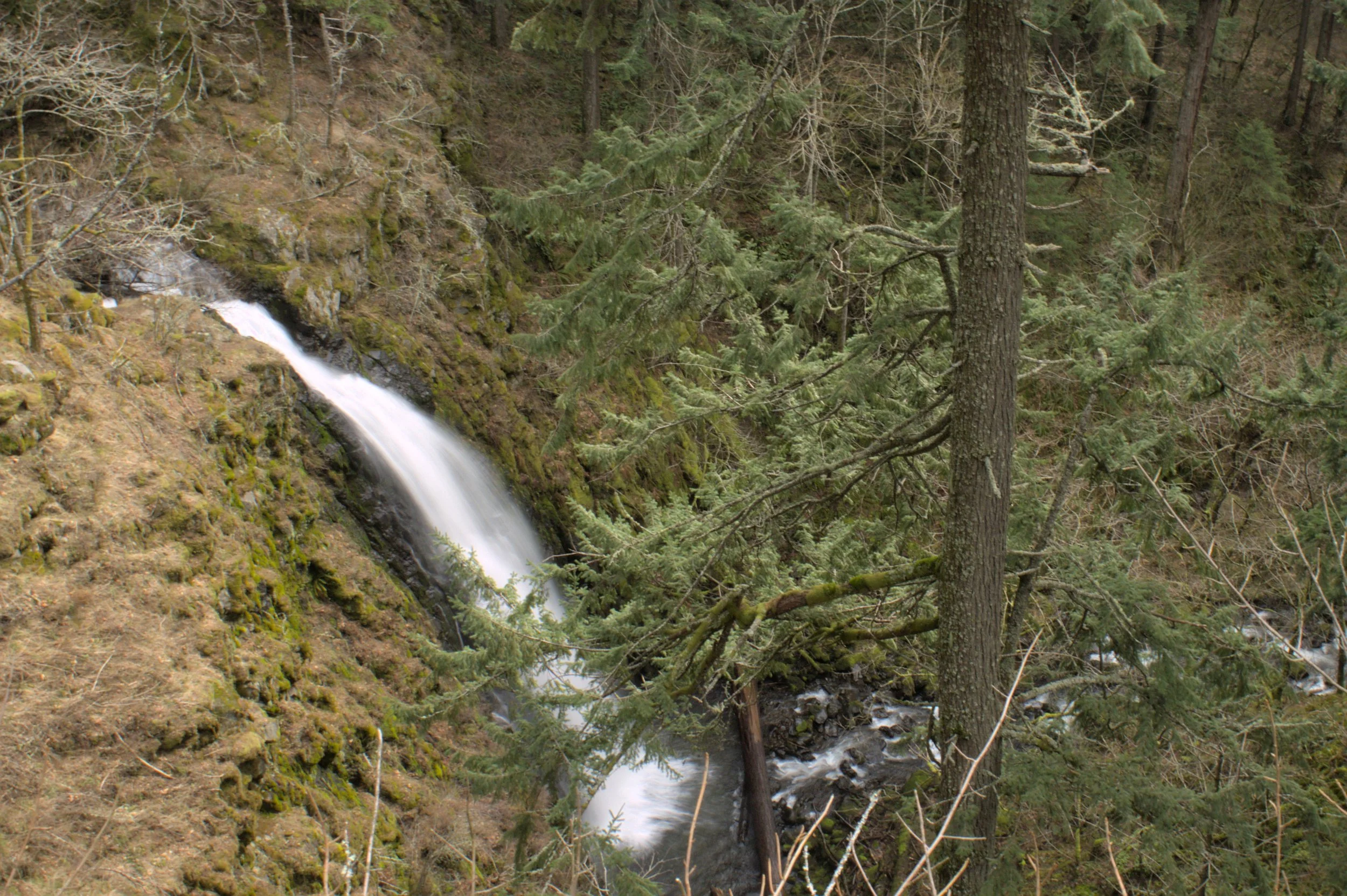 Harding Waterfall Hardy Falls, Rodney Falls, and Pool of the Winds Hike (and beyond ...