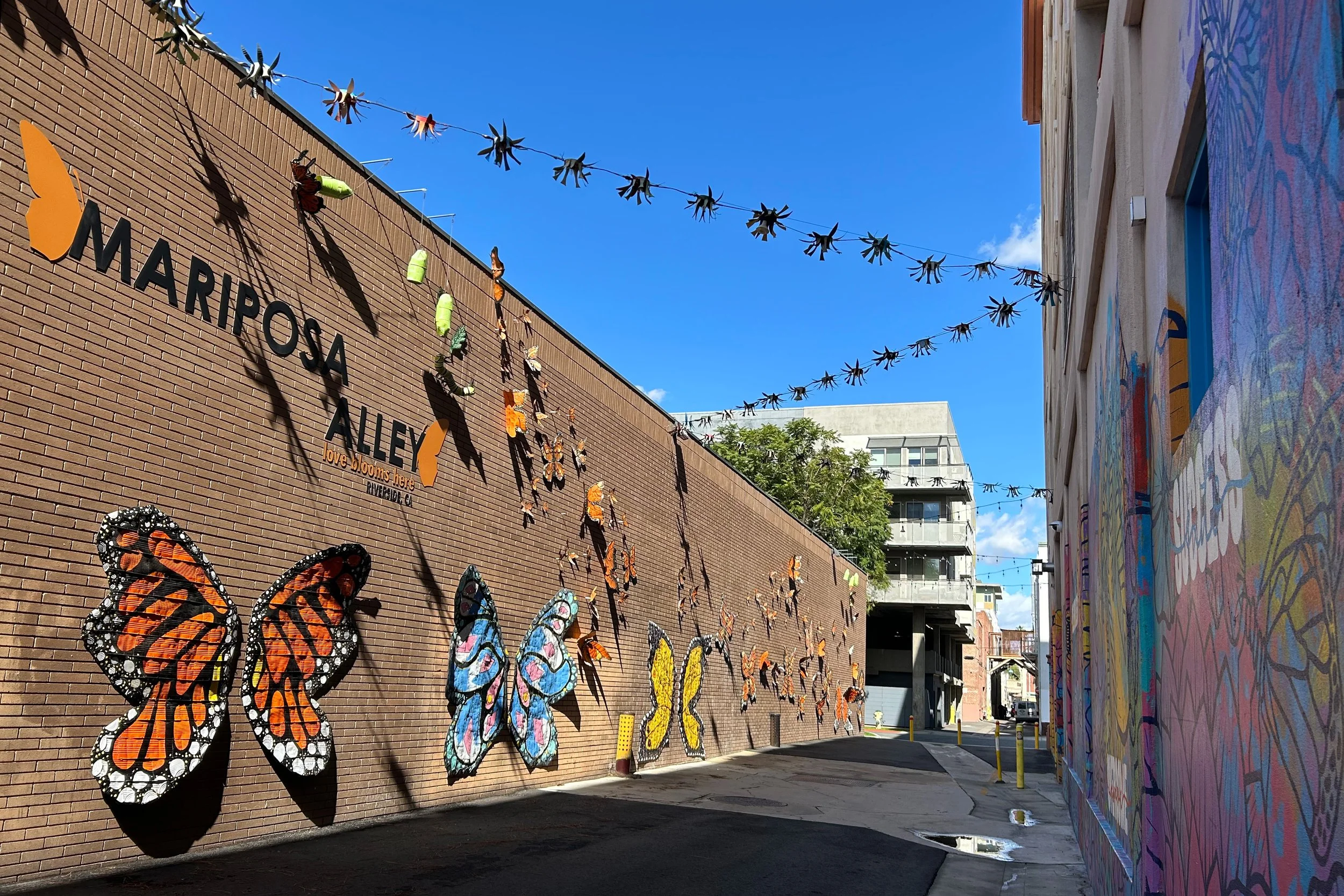 Mariposa Alley in downtown Riverside