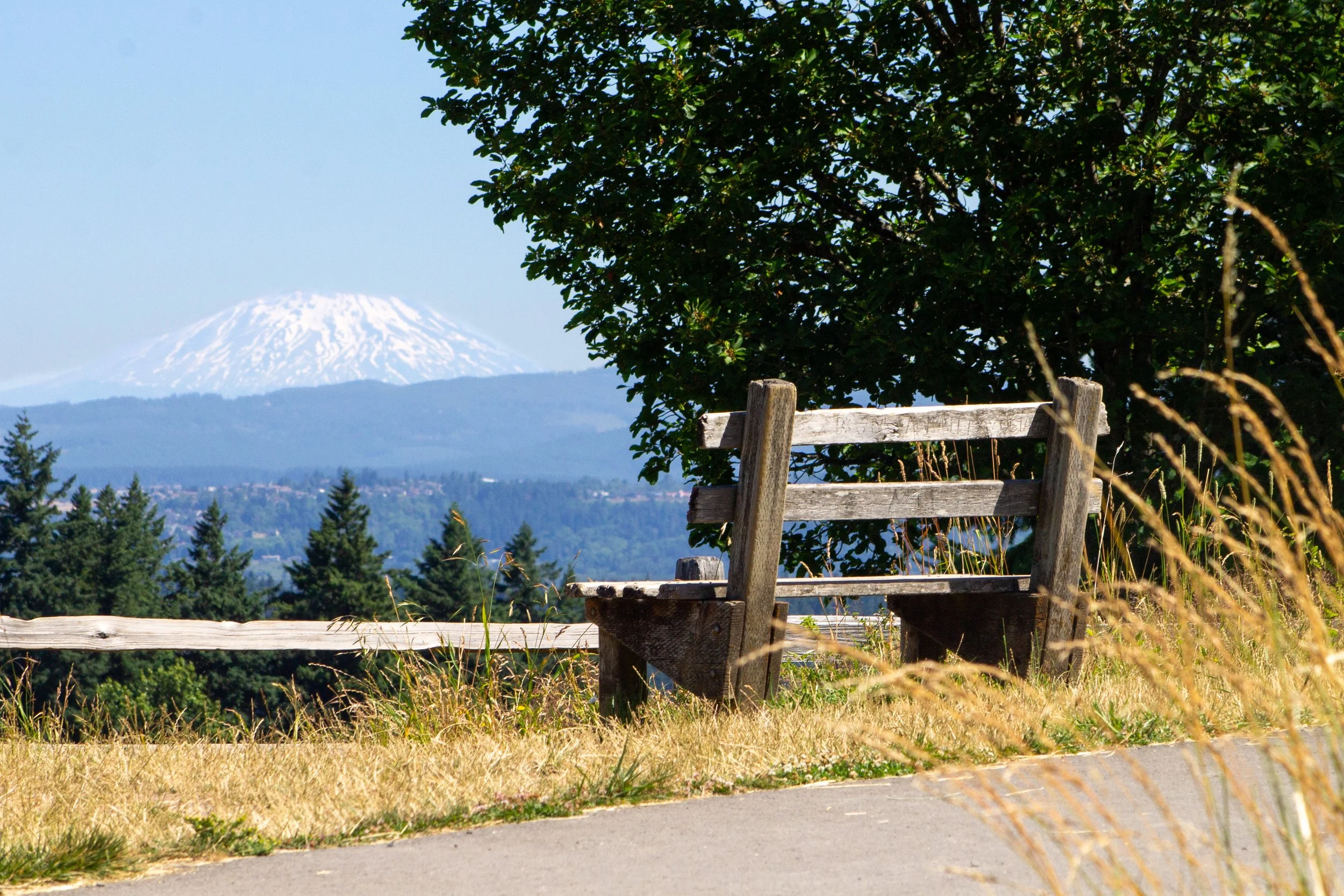 Bench on Powell Butte overlooking Mount St Helens view