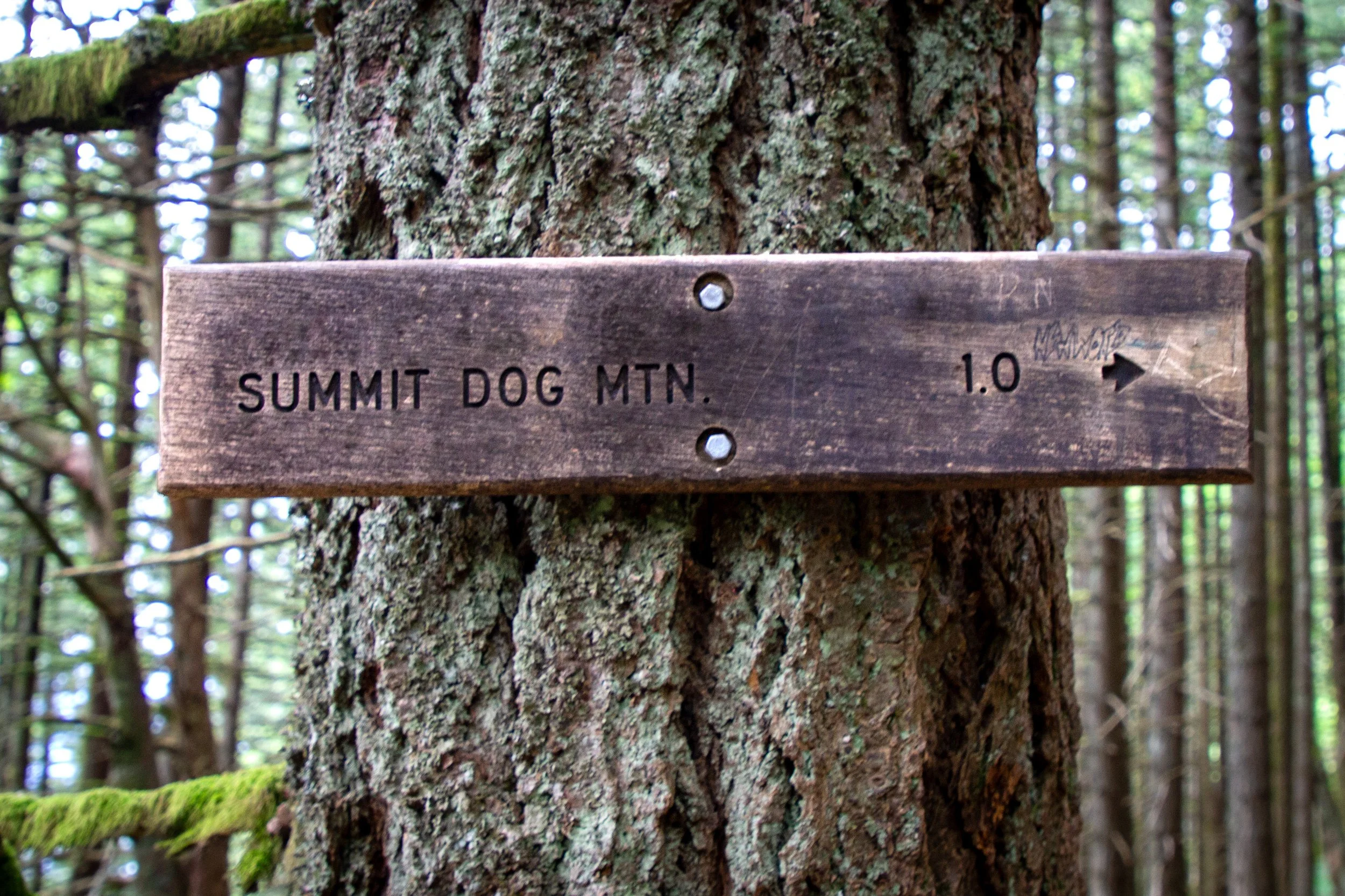 Sign points to Dog Moutain summit