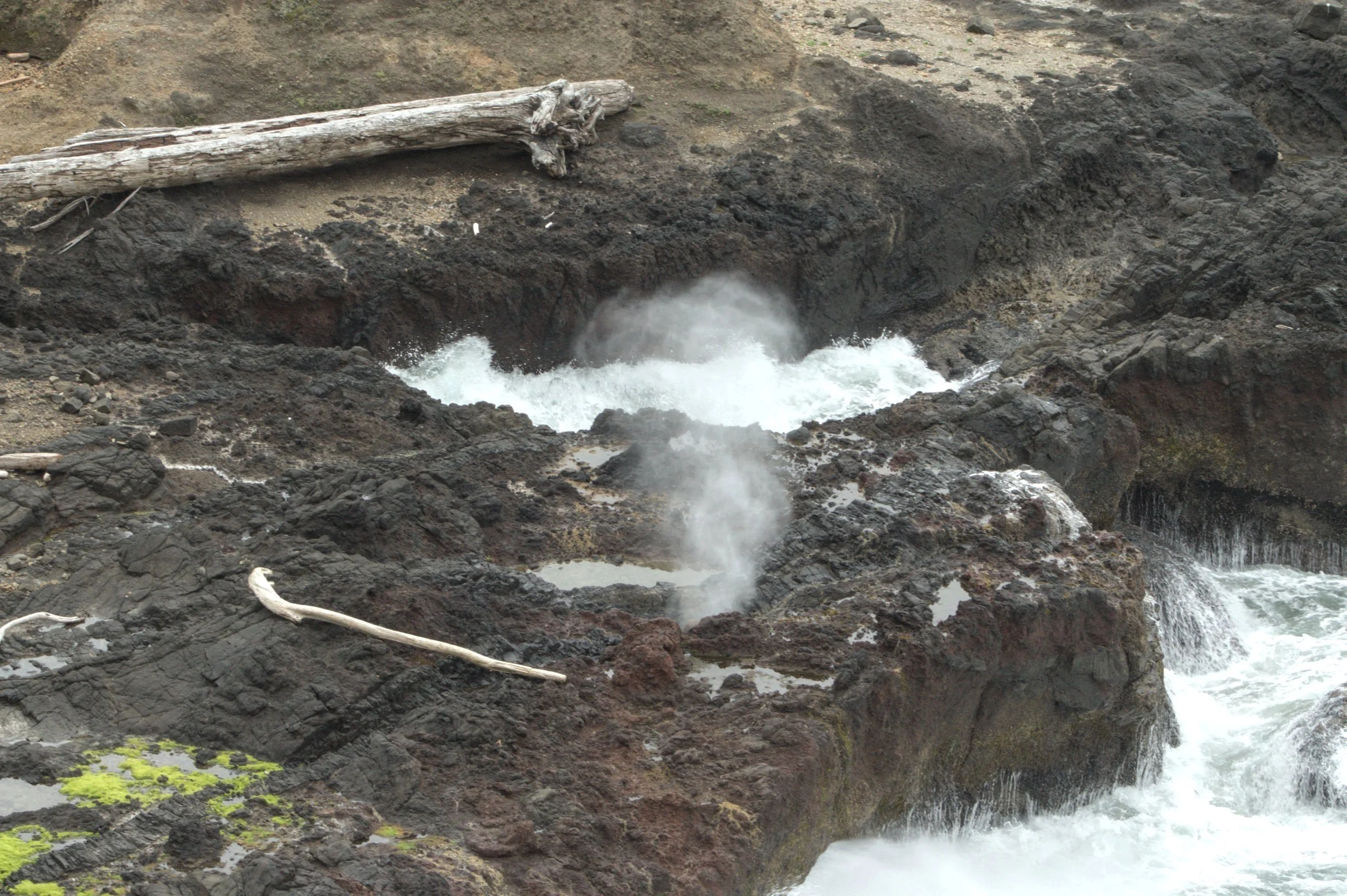 How to Visit Cape Perpetua by the Tide — Pines and Vines
