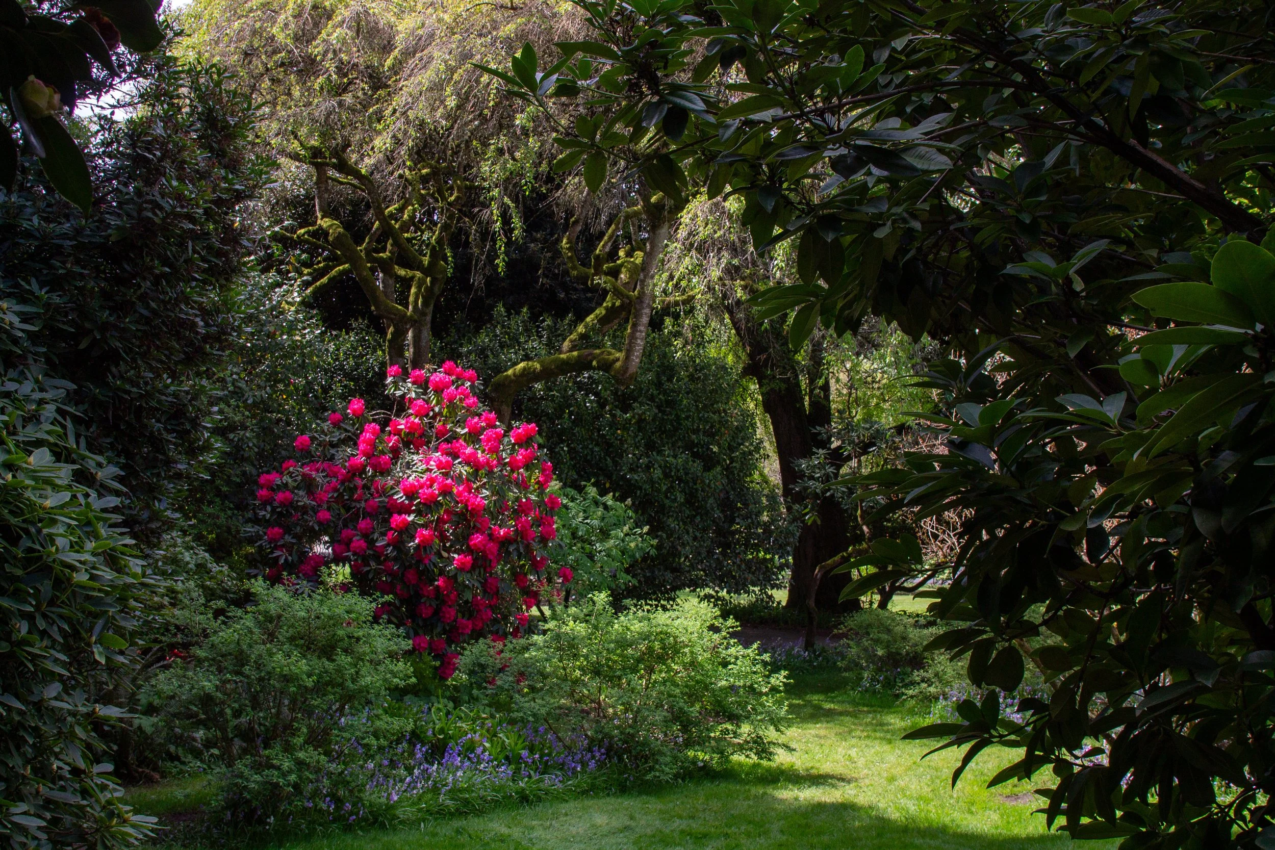 Hulda Klager Lilac Gardens