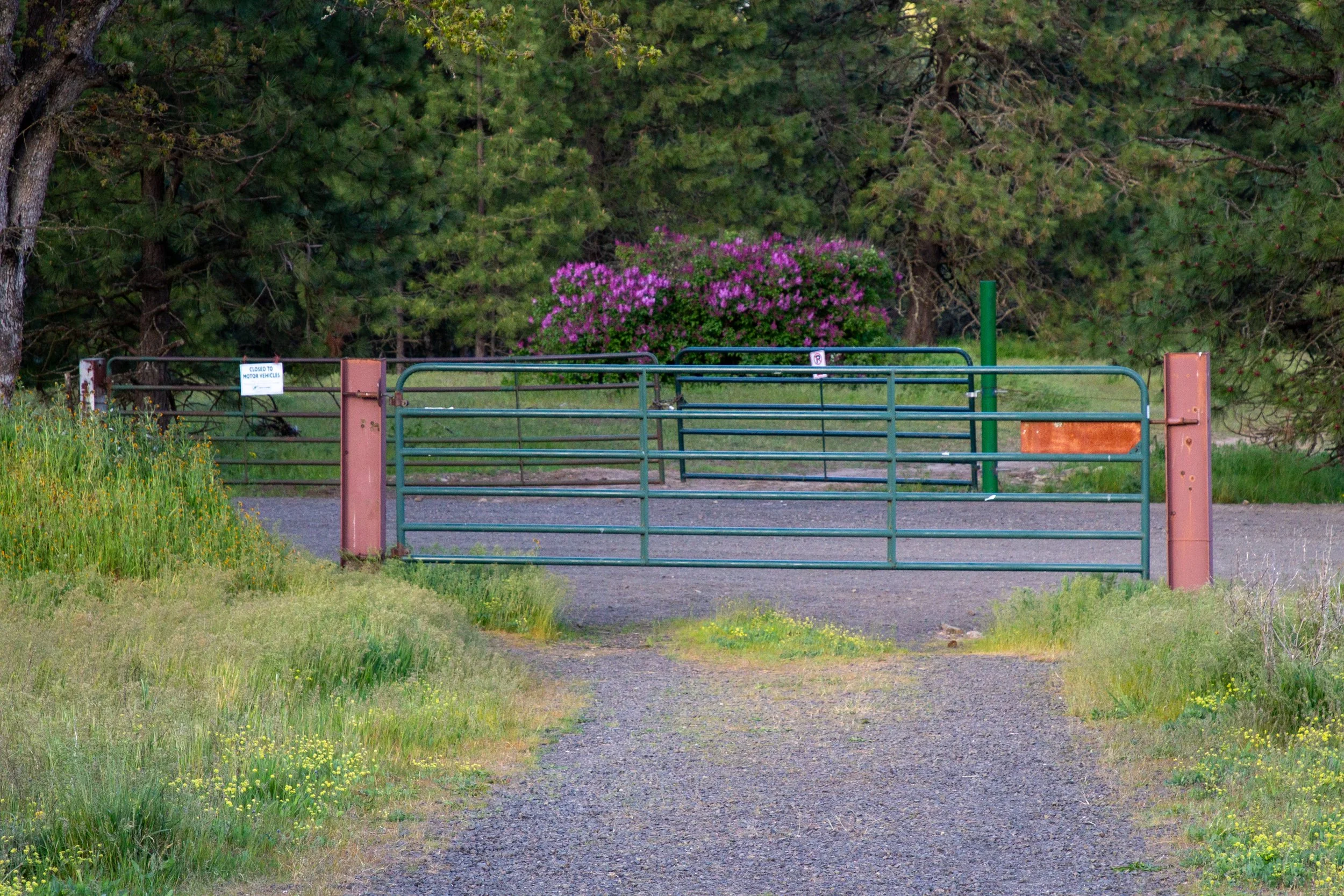 Gate in front of gravel road