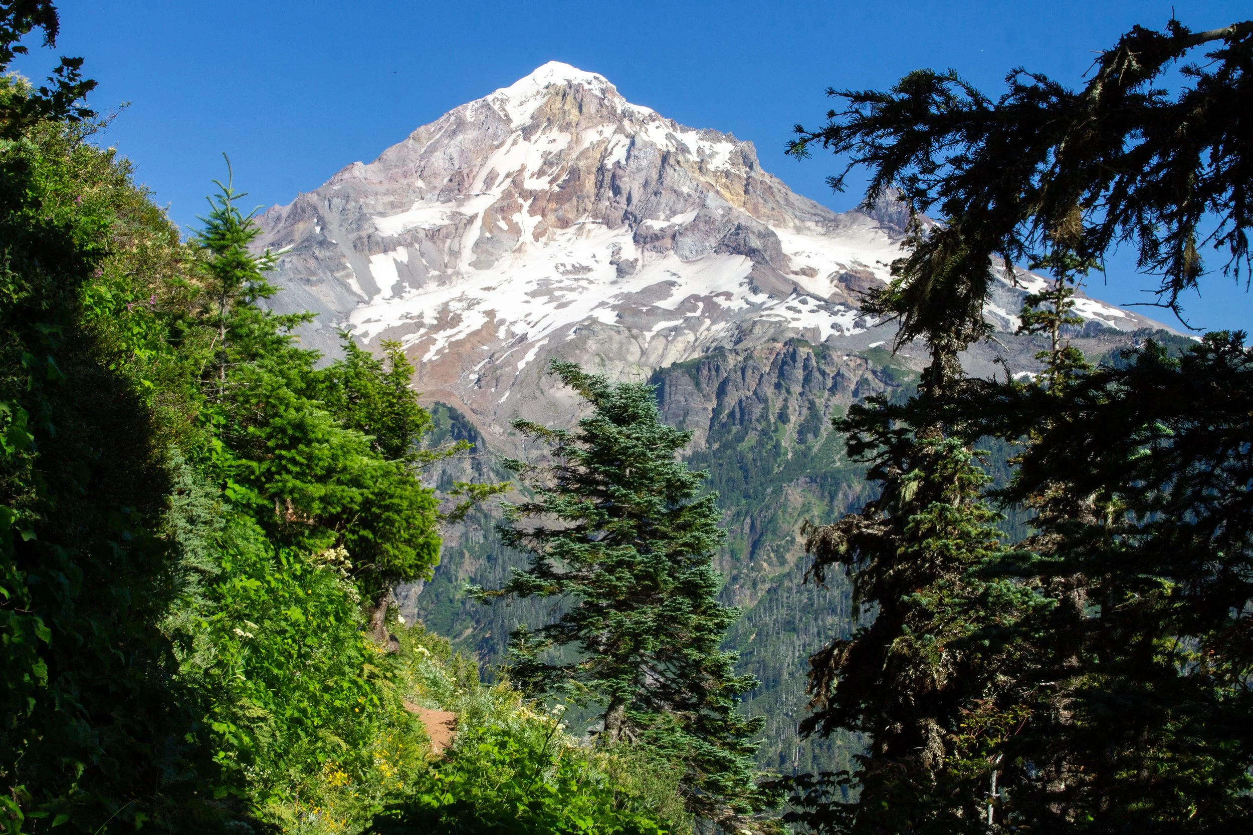 Mount Hood sighting from hiking trail