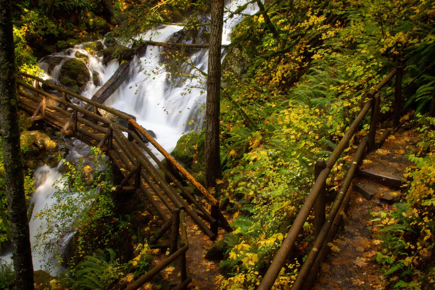 Harding Waterfall Hardy Falls, Rodney Falls, and Pool of the Winds Hike (and beyond ...