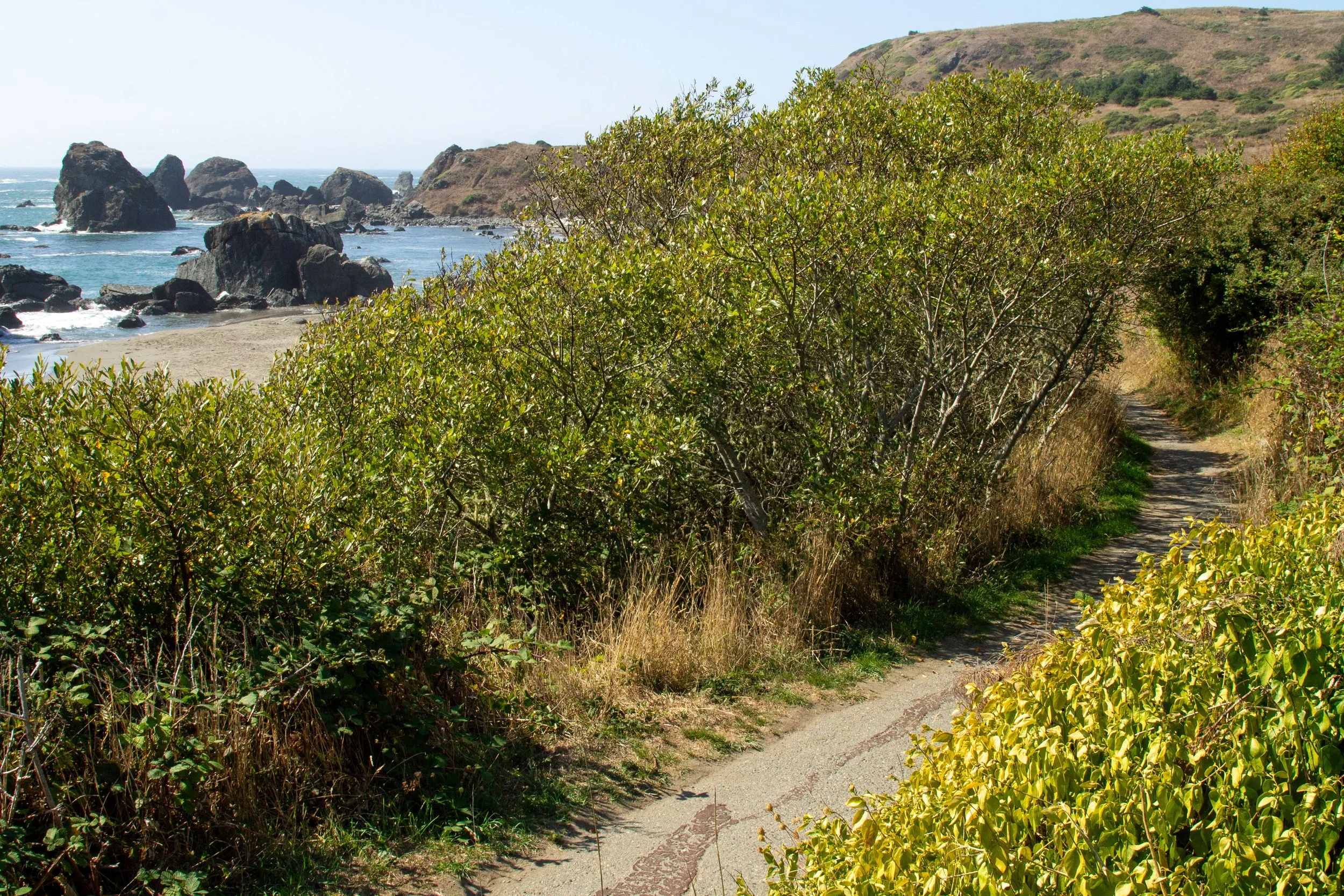 Trail to the beach