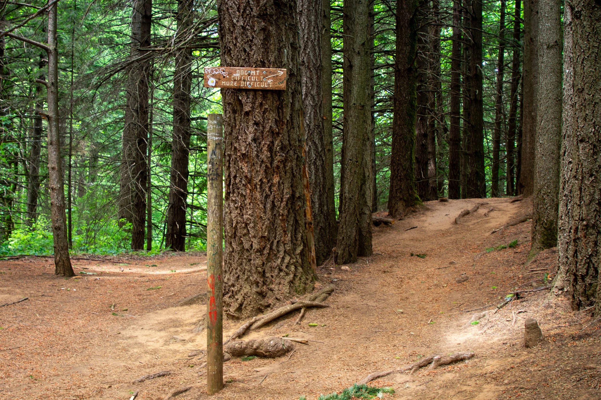 Fork in trail splits difficult and more difficult routes