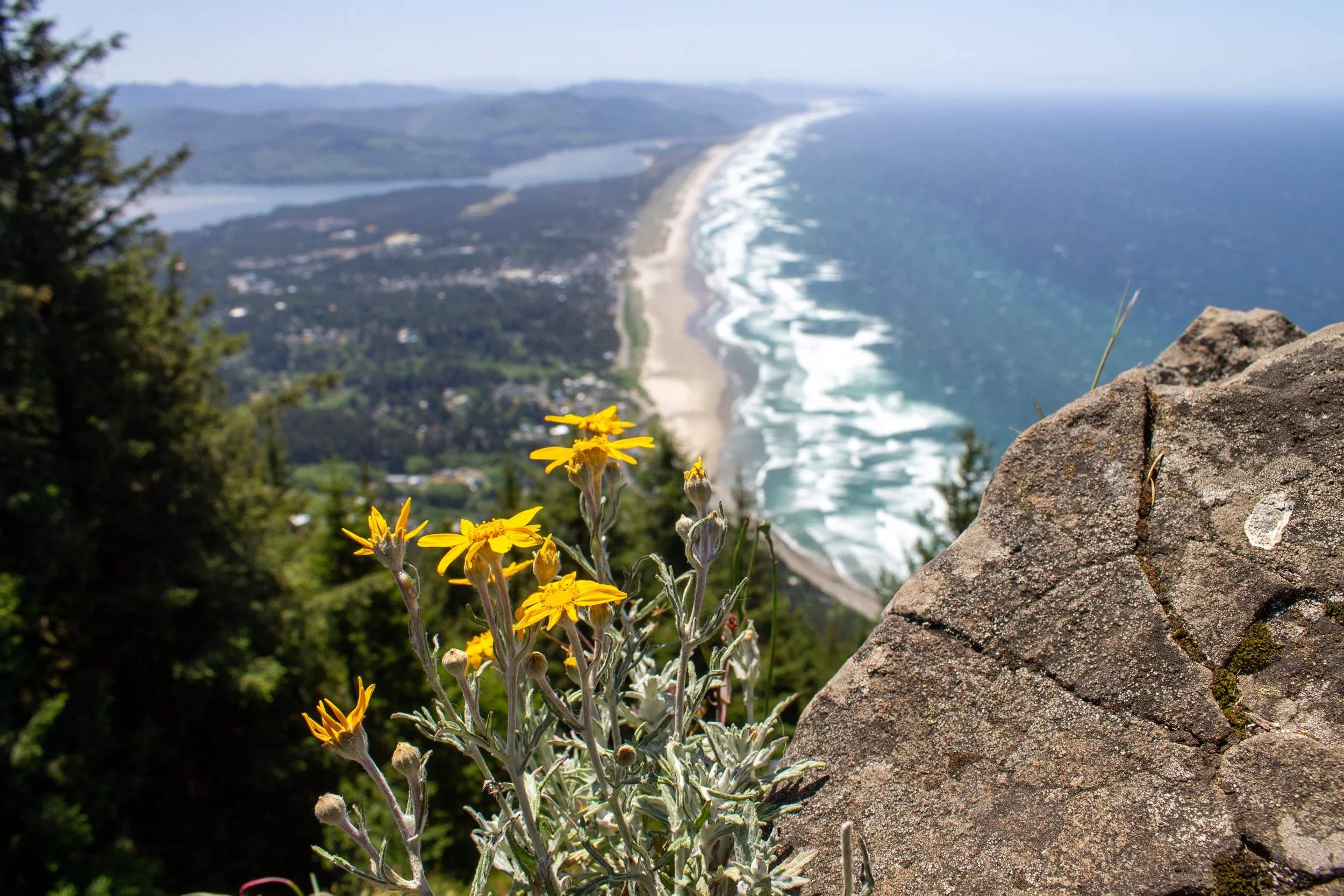 Neahkahnie Mountain Hike