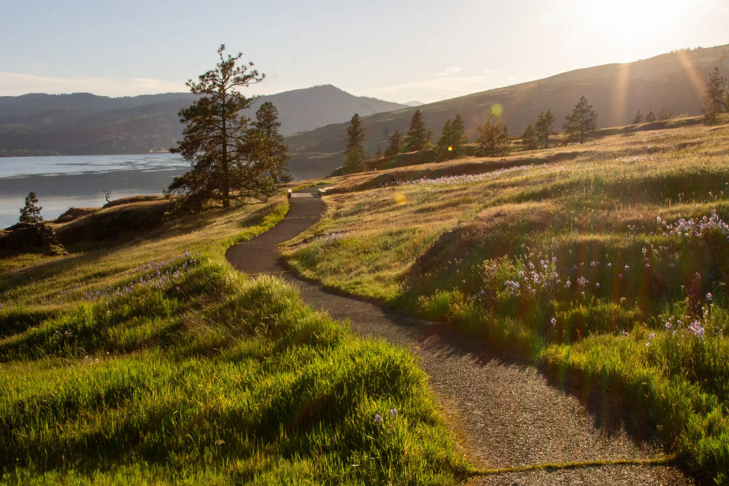 Catherine Creek Hiking Guide