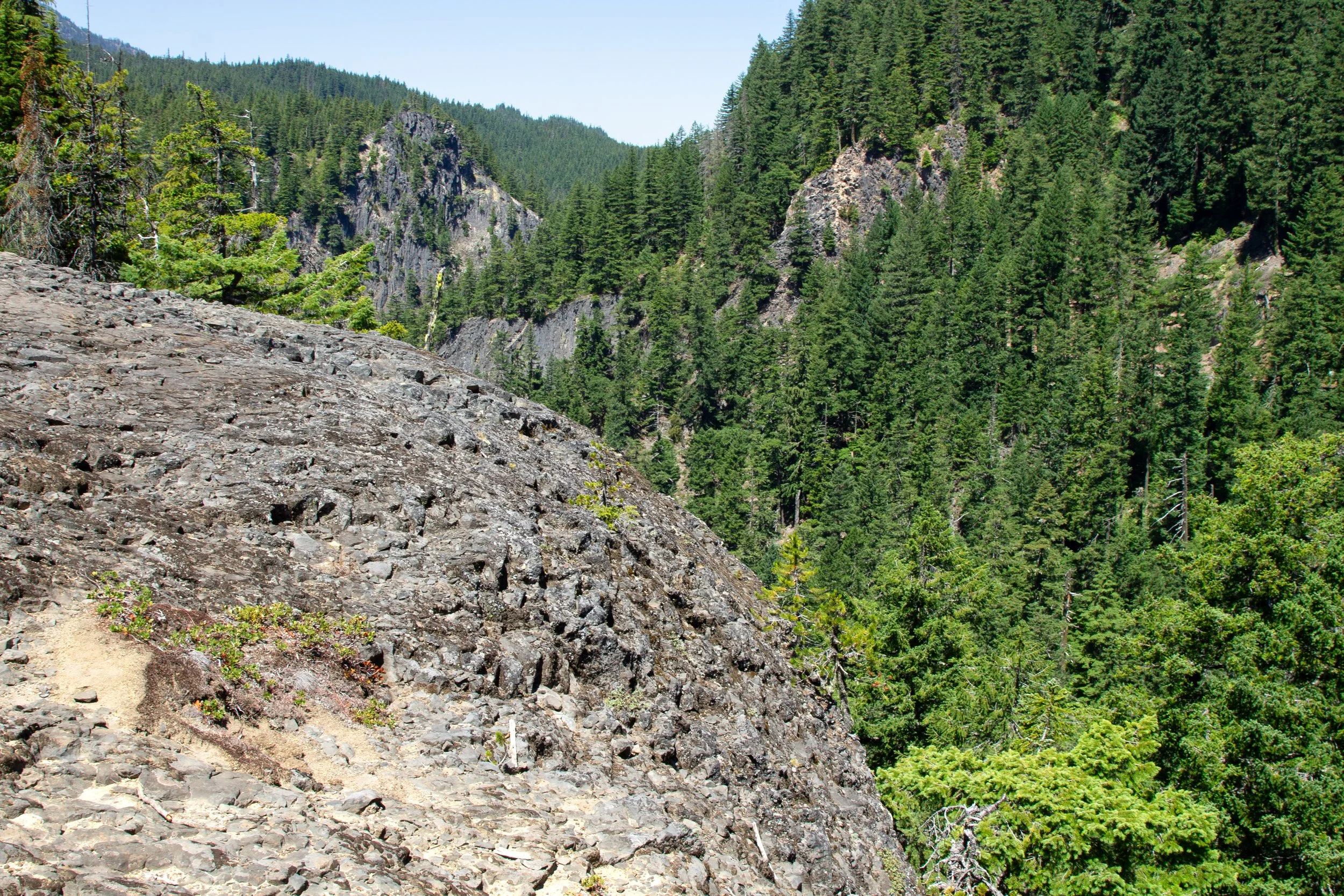 Salt Creek Rocks Salt Creek Falls and Diamond Creek Falls — Pines and Vines