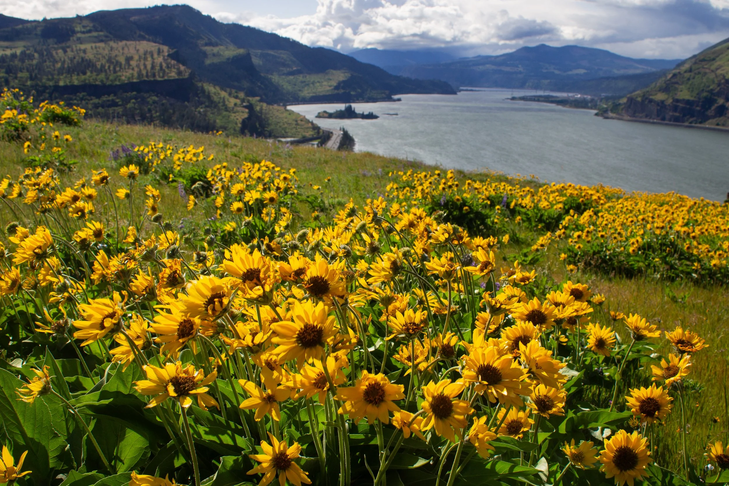Mosier Plateau