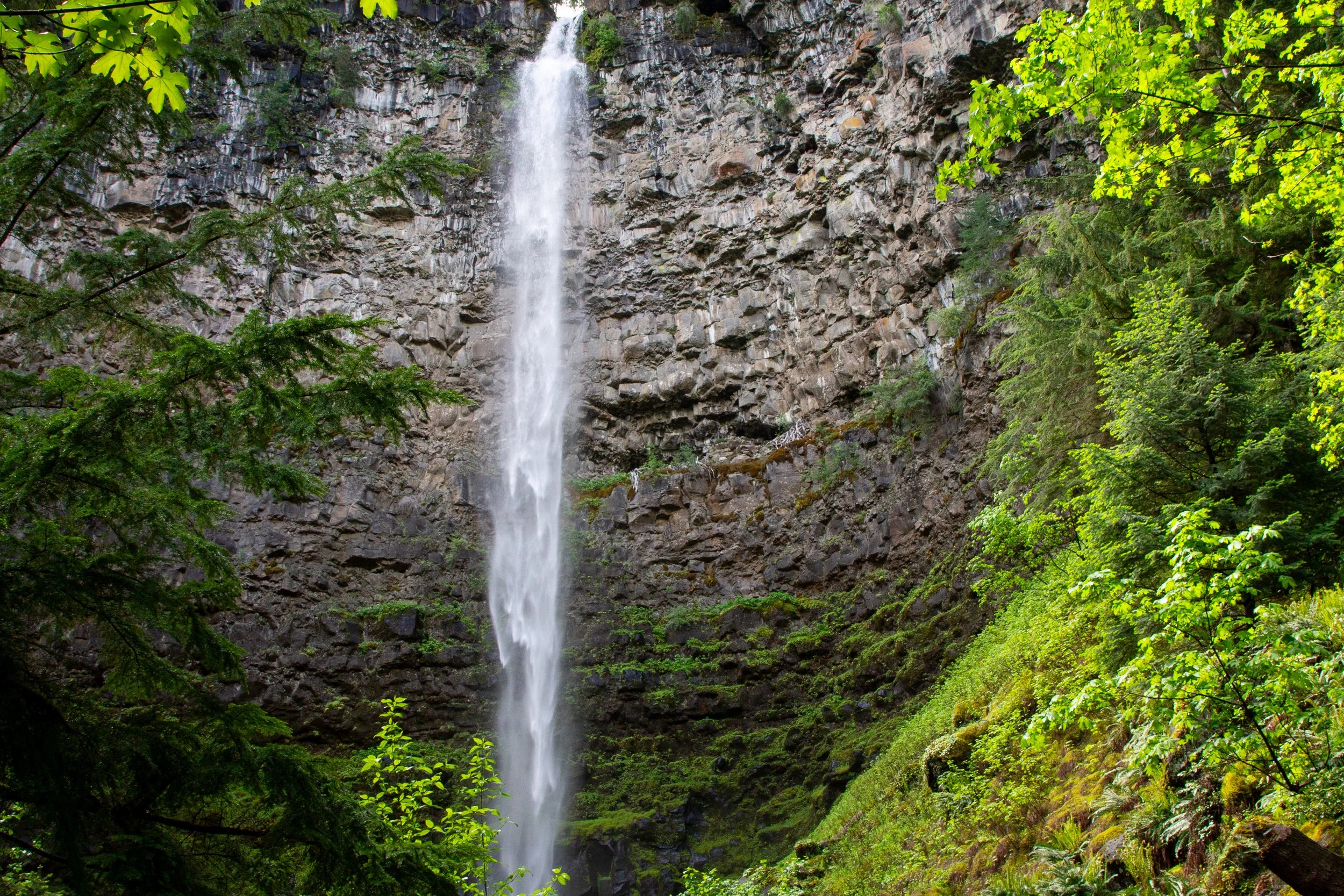 Watson Falls Hiking Guide