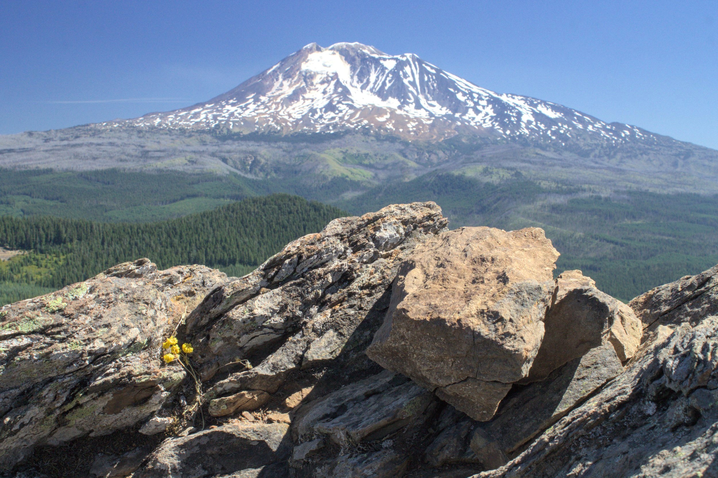 7 Fun Things to Do Near Mount Adams — Pines and Vines