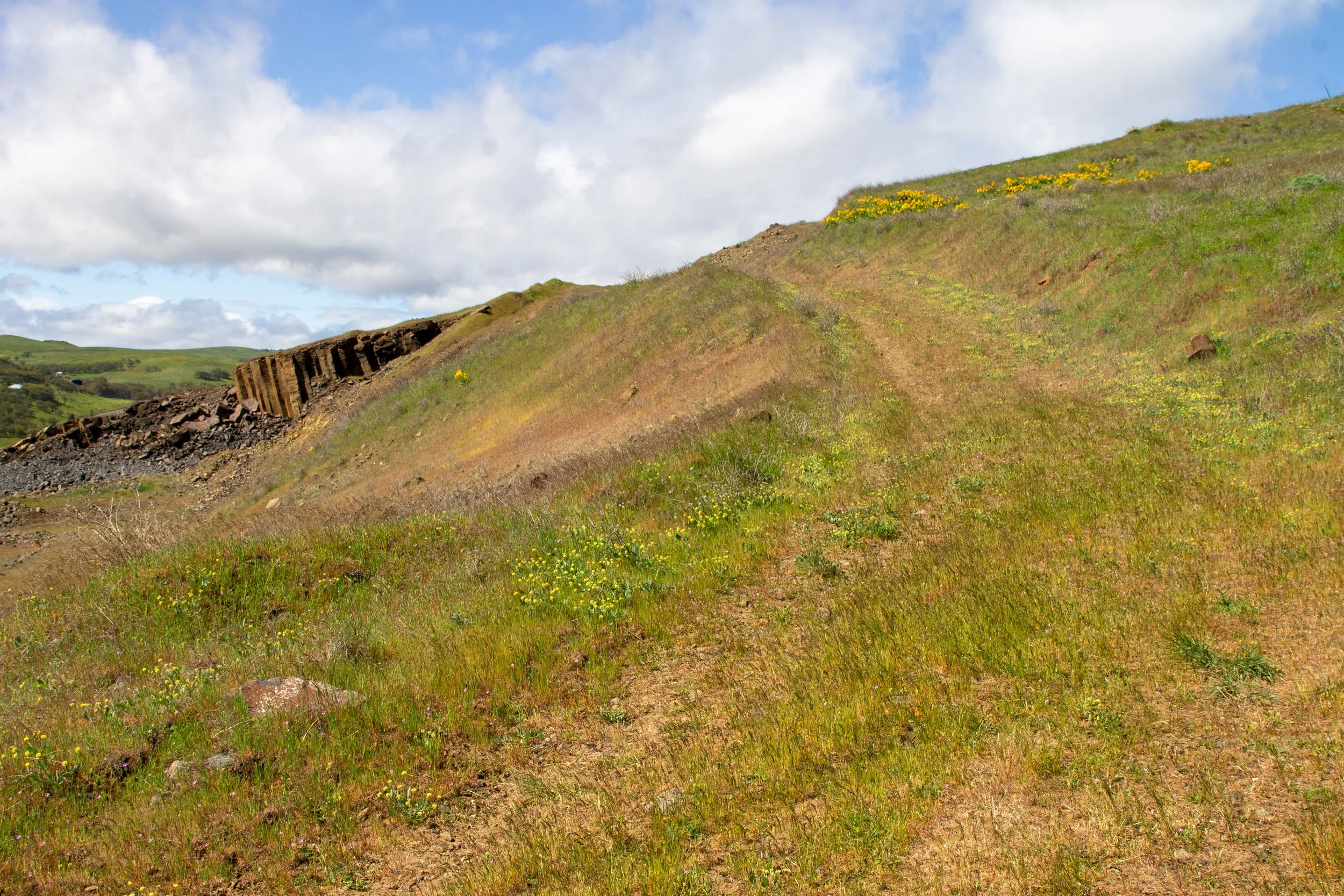 Grass covers old roadbed
