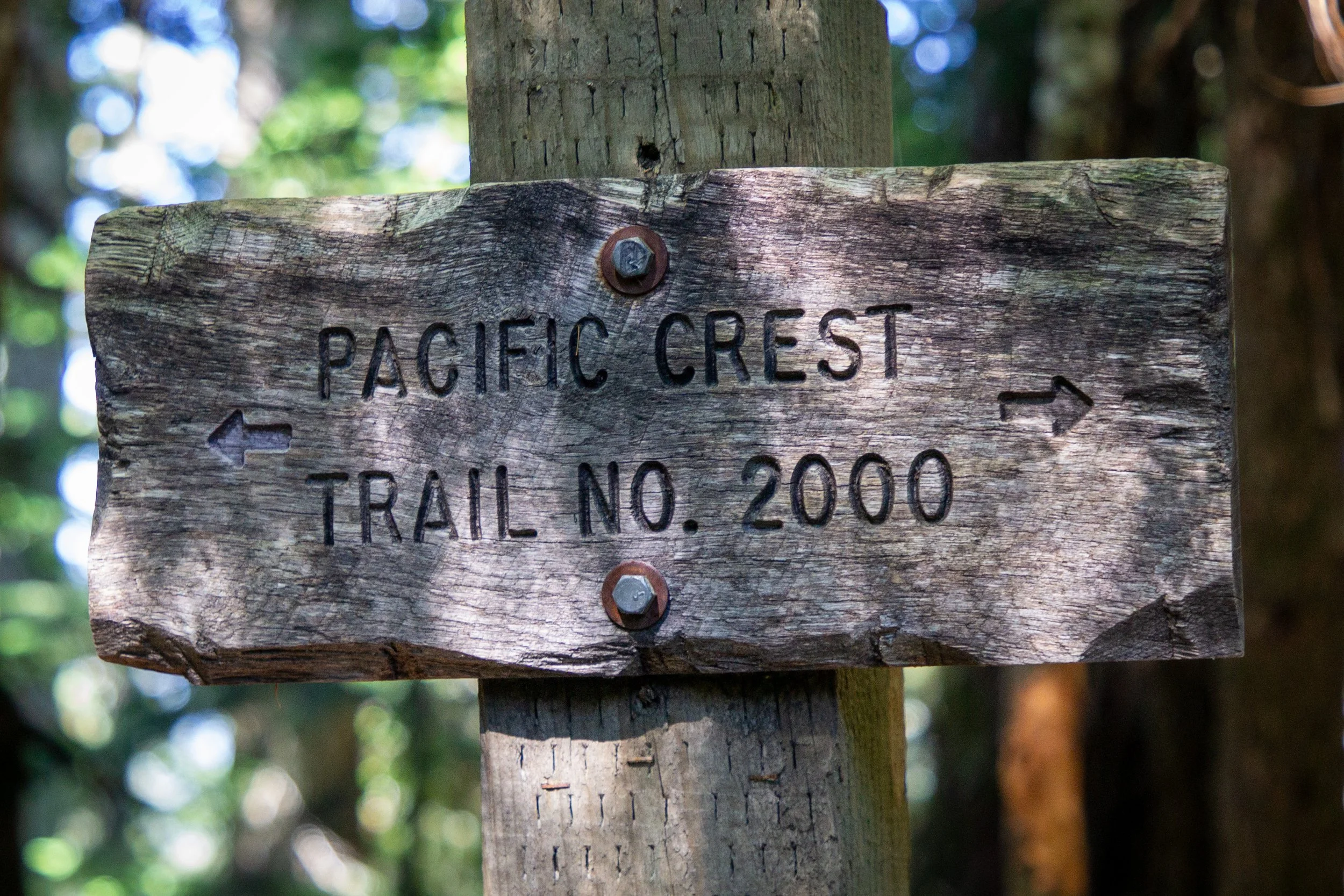 Sign for Pacific Crest Trail