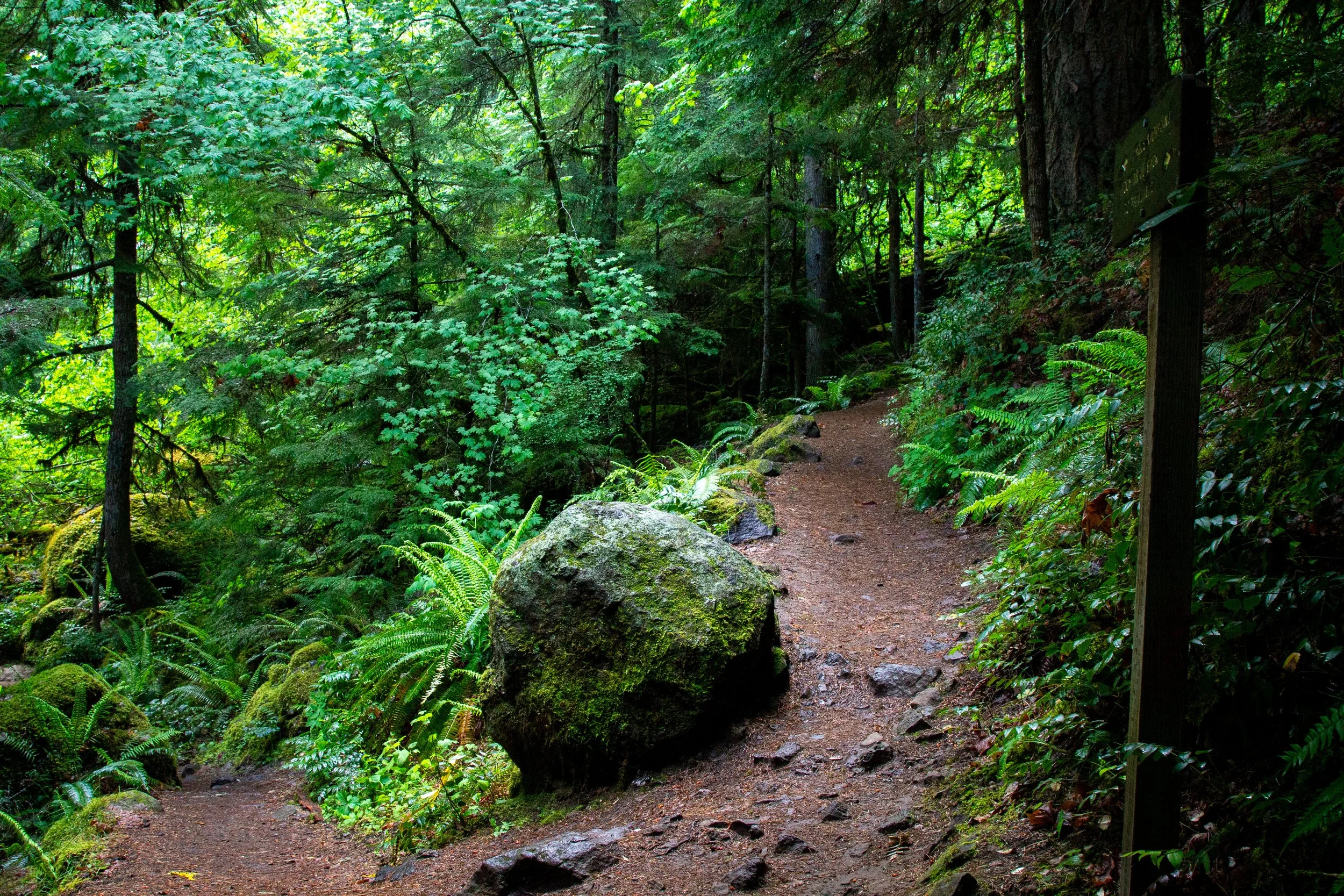 Junction on Watson Falls Trail