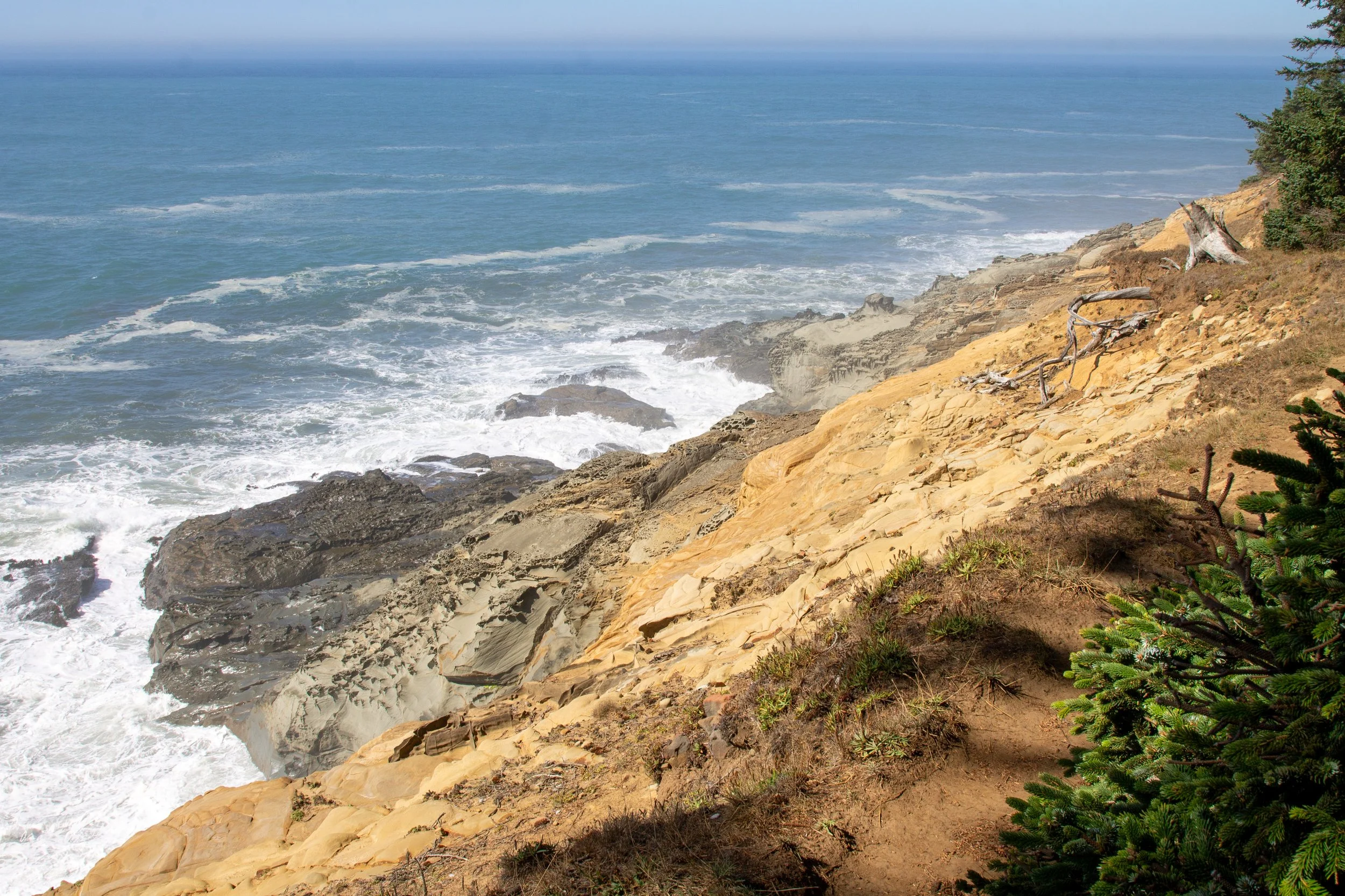 Hiking trail near rocky coastline