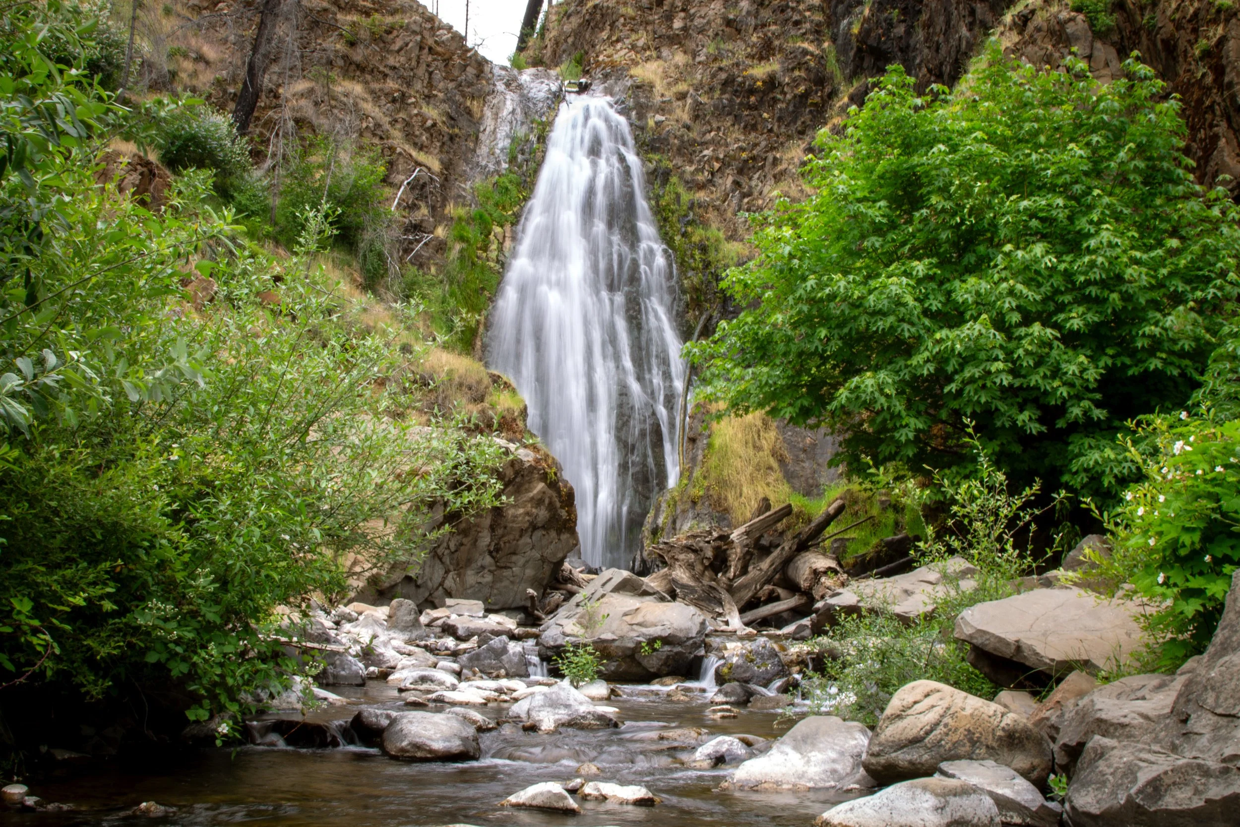 Susan Creek Falls