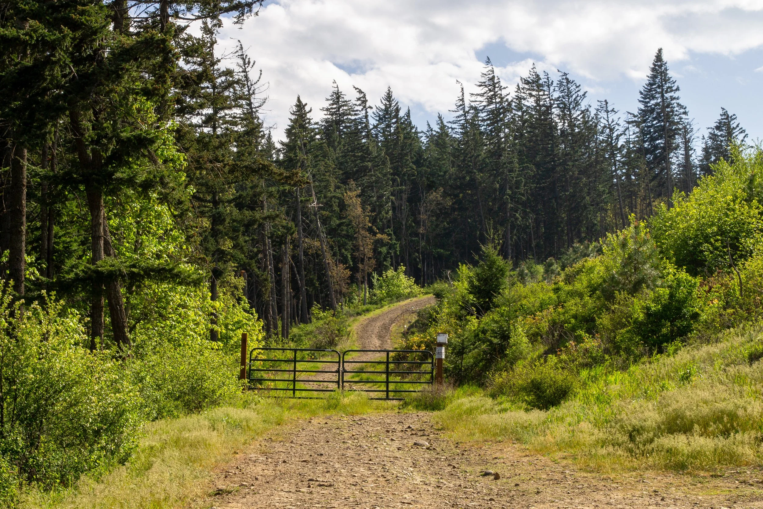 Gate at beginning of Hood River Mountain hike