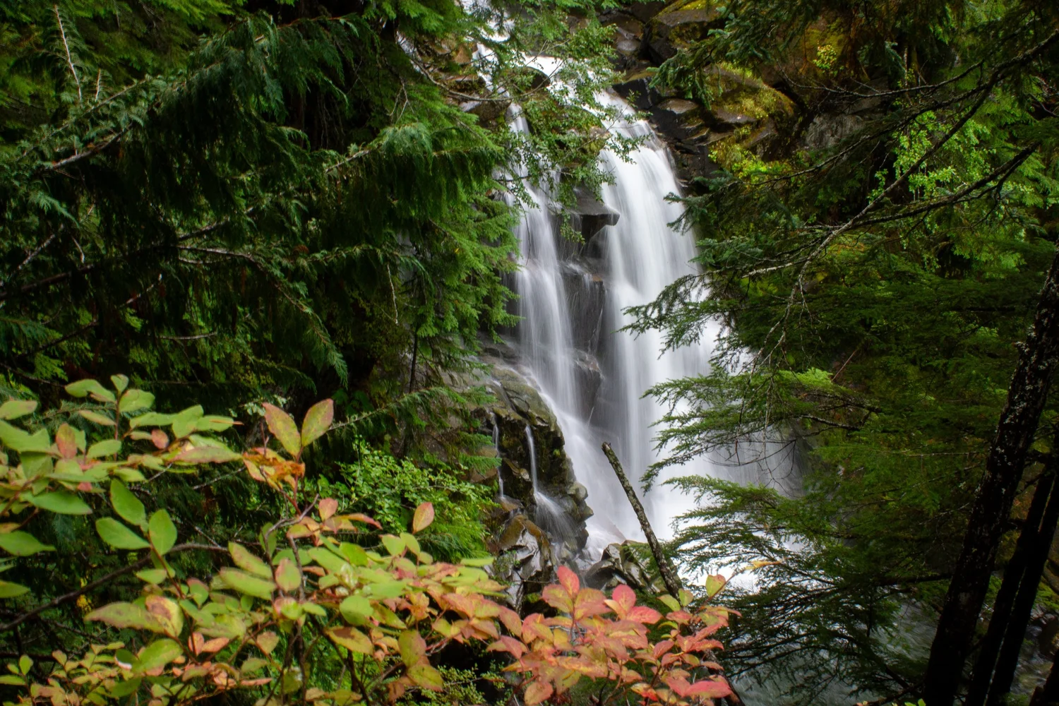 Quick Guide to Visiting Mt Rainier National Park in October — Pines and ...