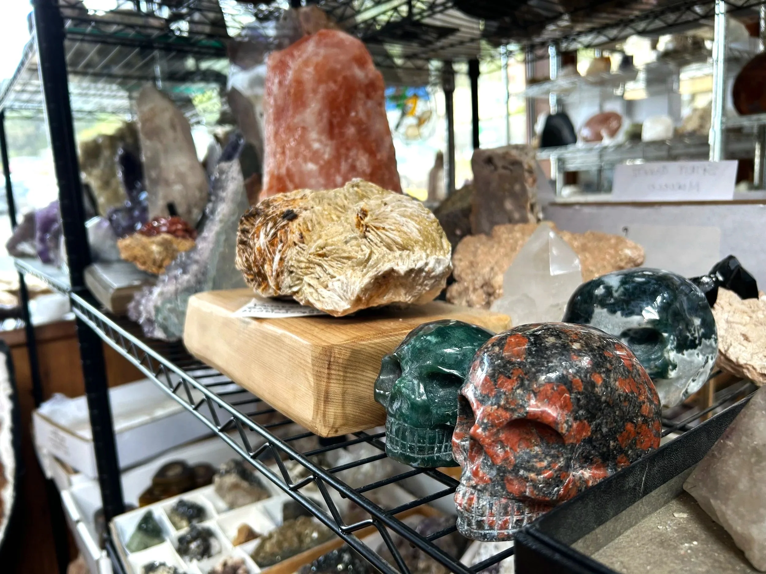 Display of rock shaped skulls and fossils