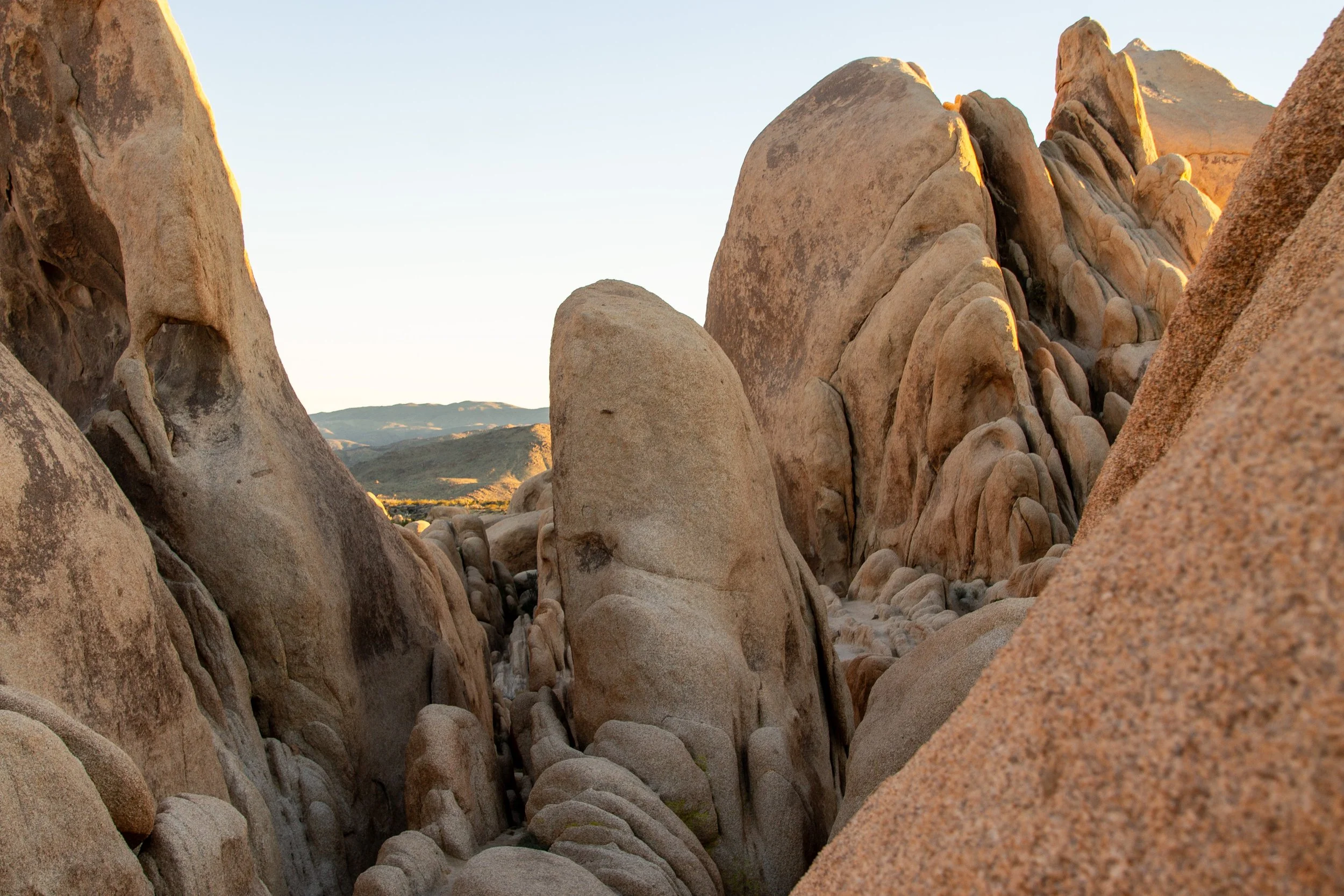 Wave-shaped rocks along the Arch Rock Trail