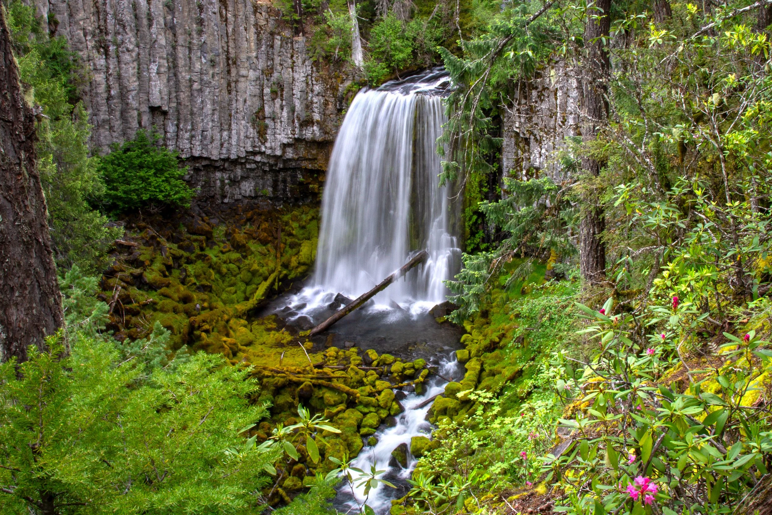 Warm Springs Falls