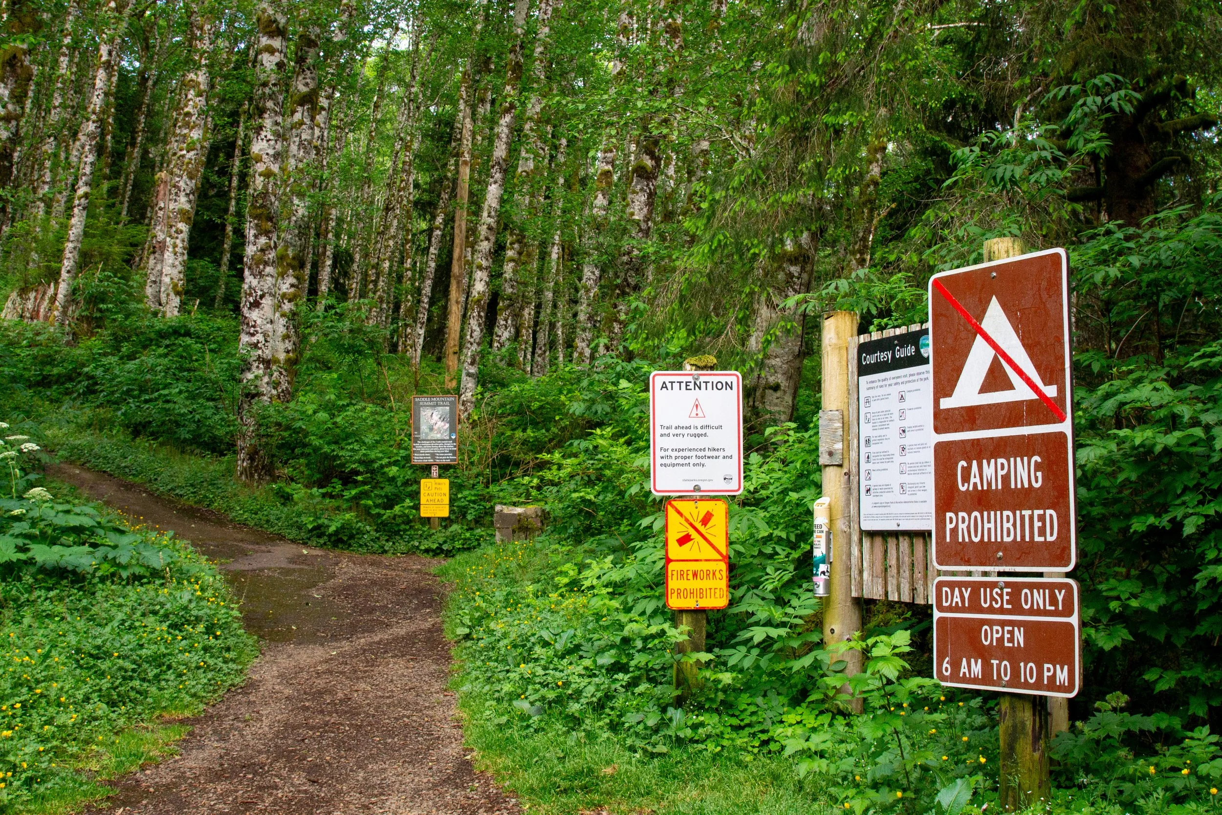Saddle Mountain Trailhead
