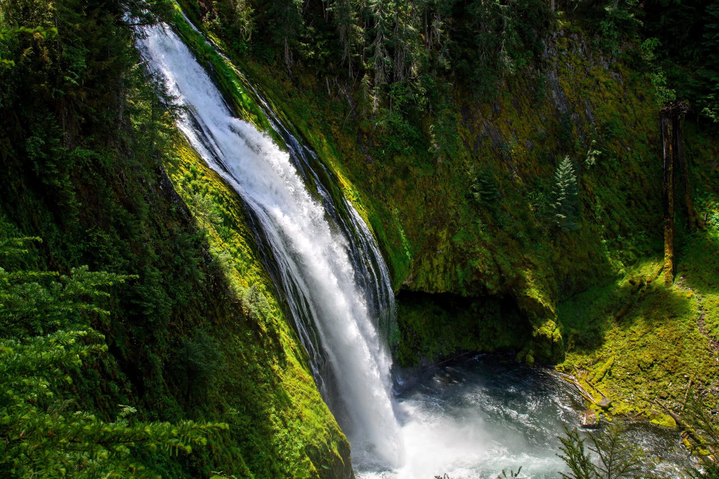 Lemolo Falls Hike