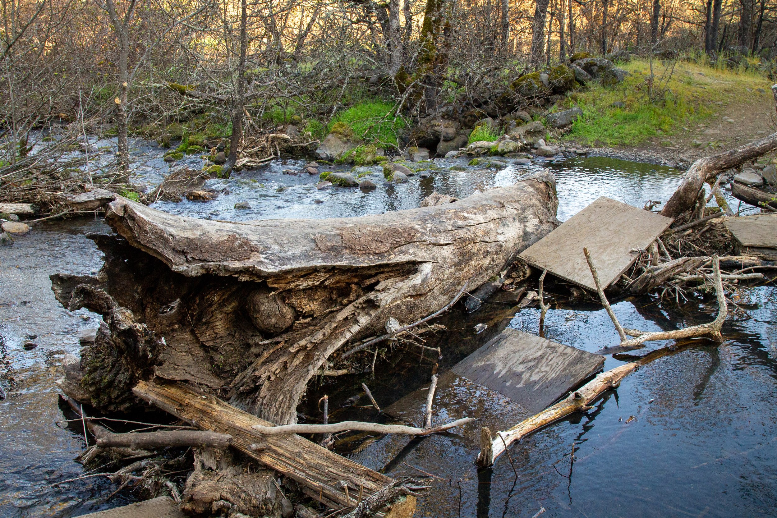 Planks and logs across Catherine Creek