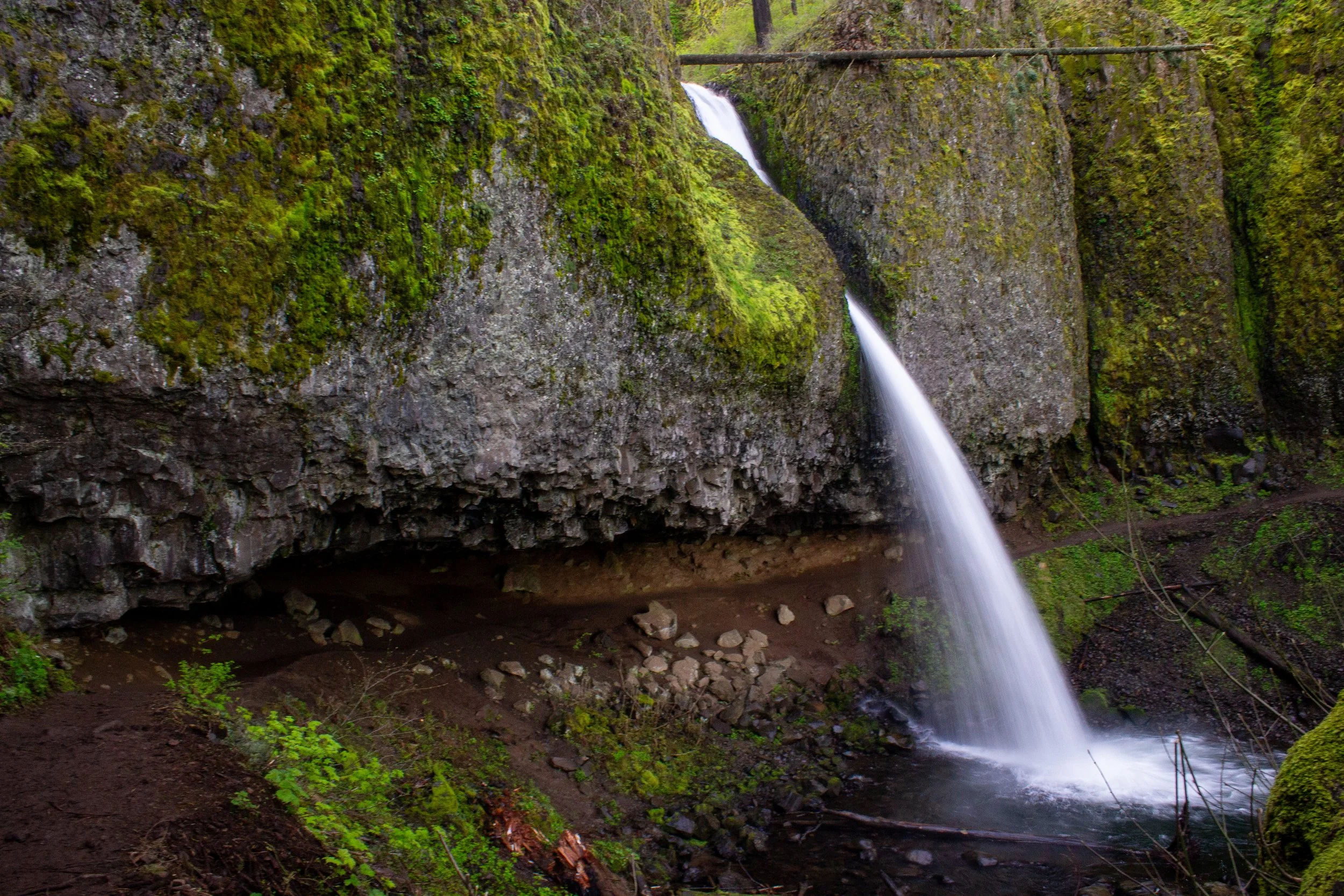 Trail behind Ponytail Falls