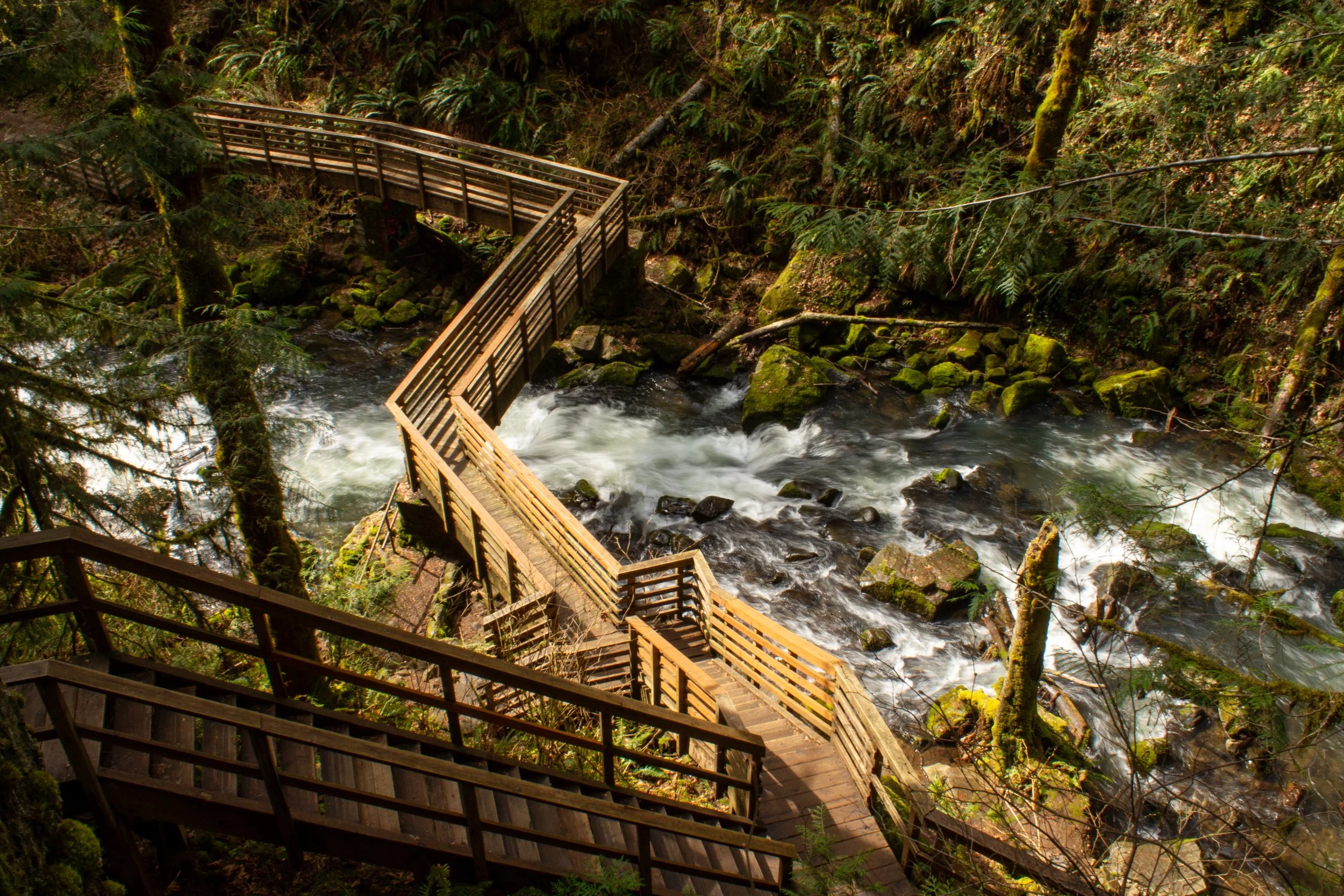 Stairs and bridge across McDowell Creek