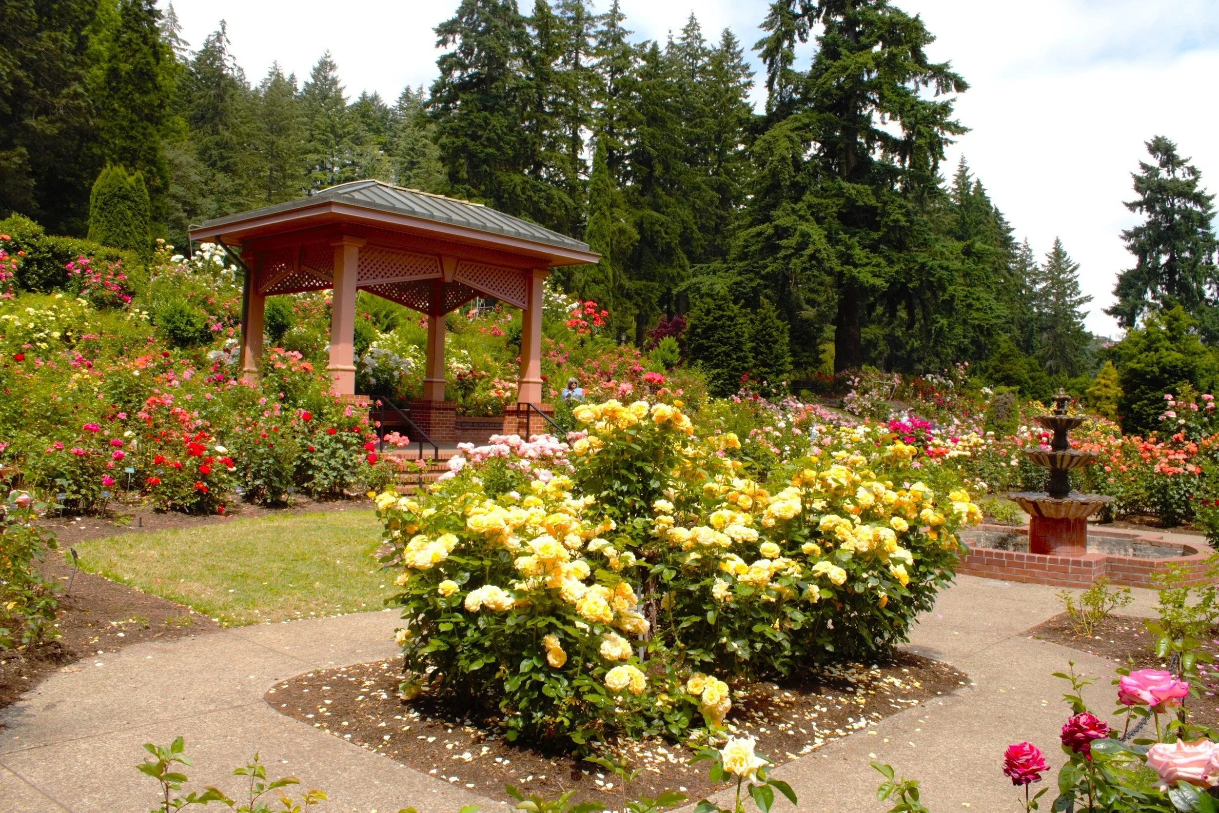 20 Fun Things to Do in Portland in the Spring — Pines and Vines