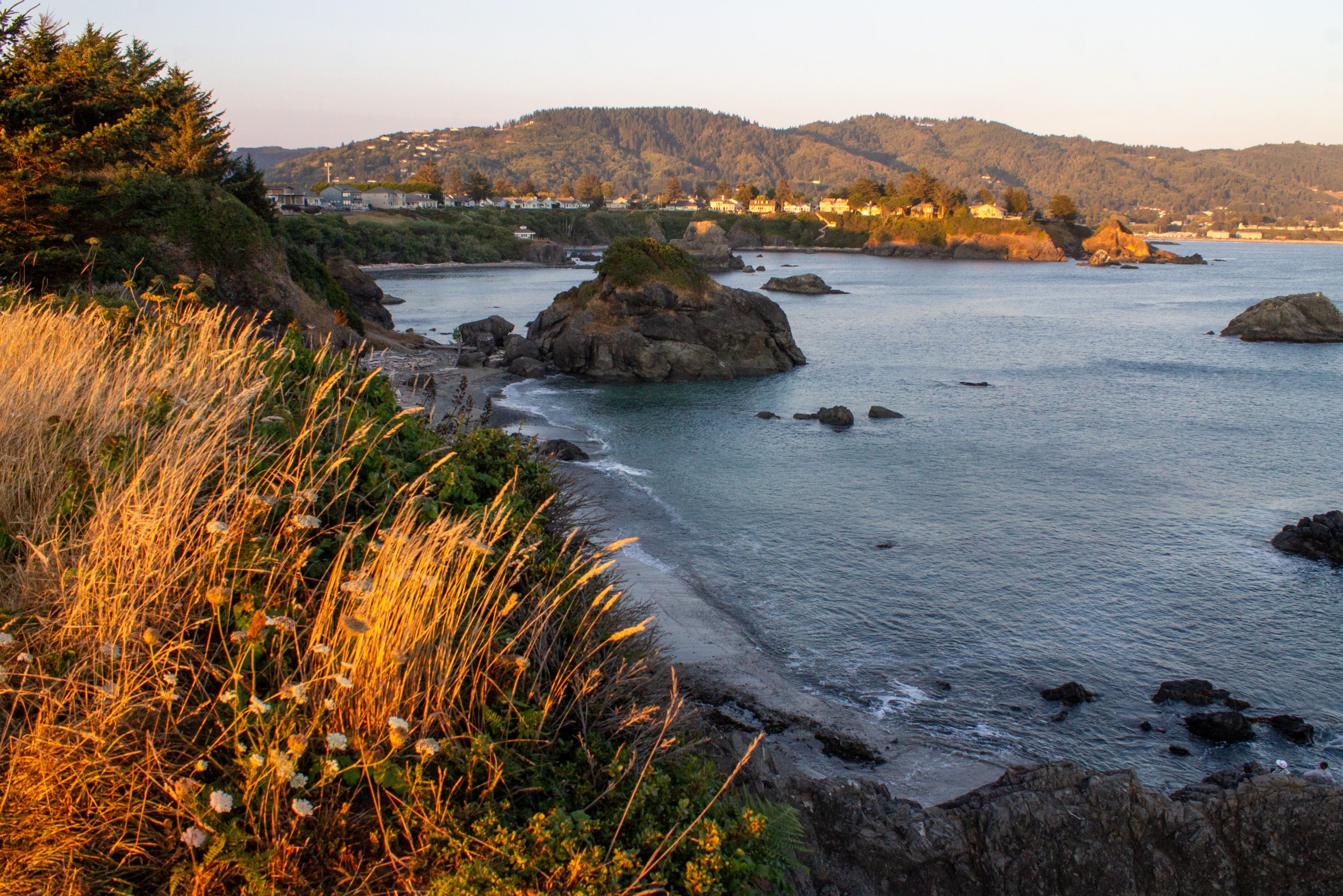 Brookings coastline from Chetco Point