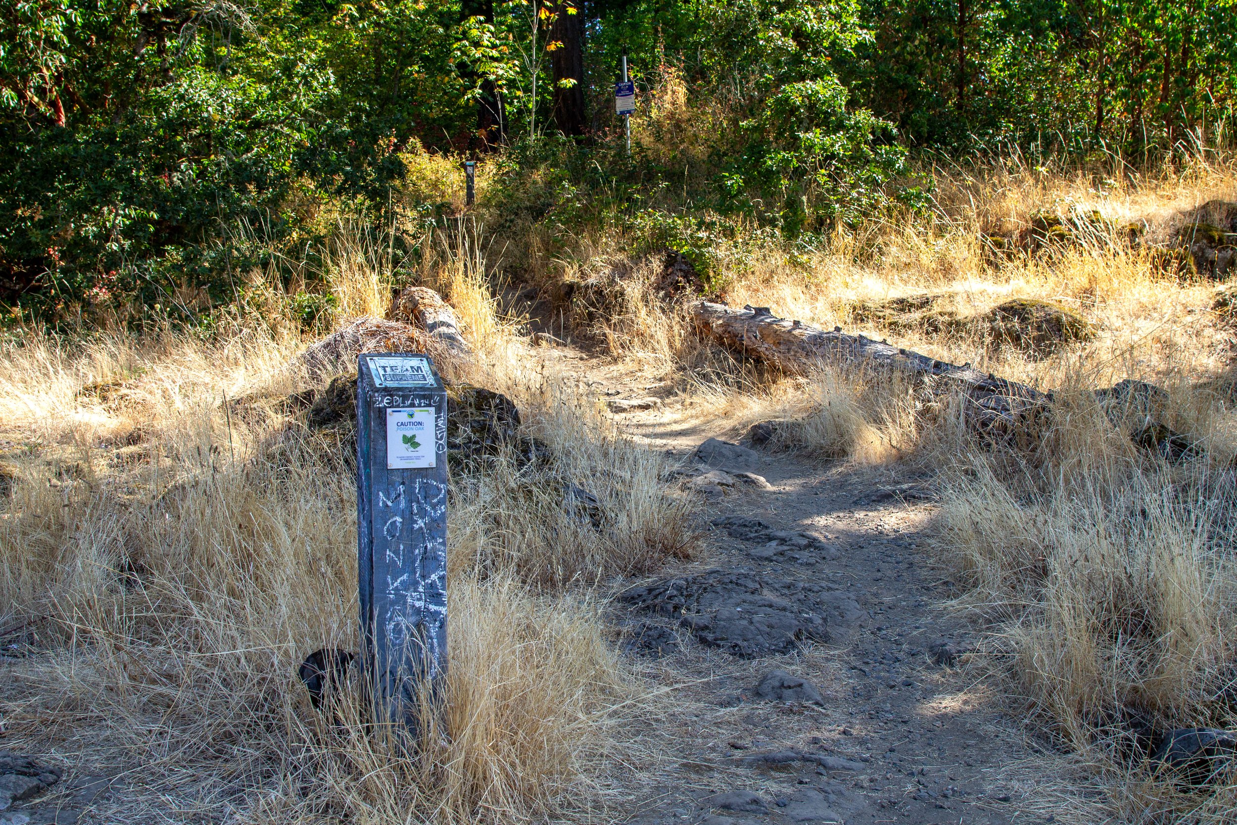 Signpost next to hiking trail